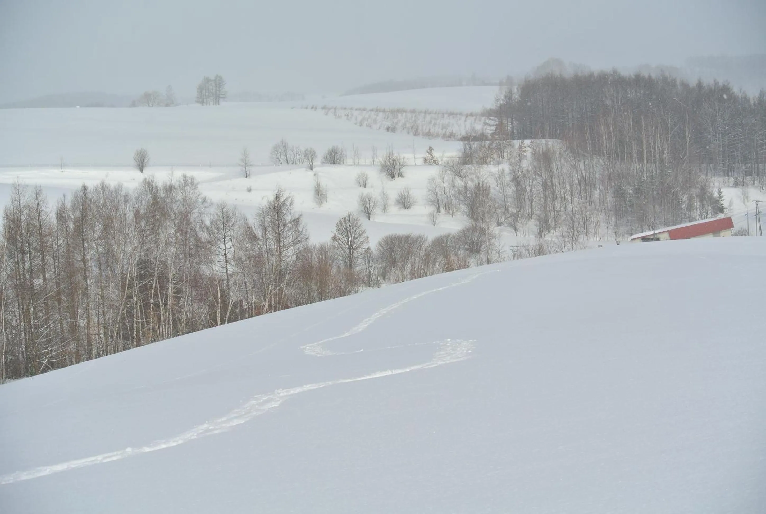 Hiking in Pension Megumiyuki