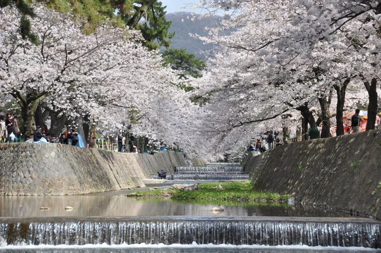 Other in T and K Hostel Kobe Sannomiya East