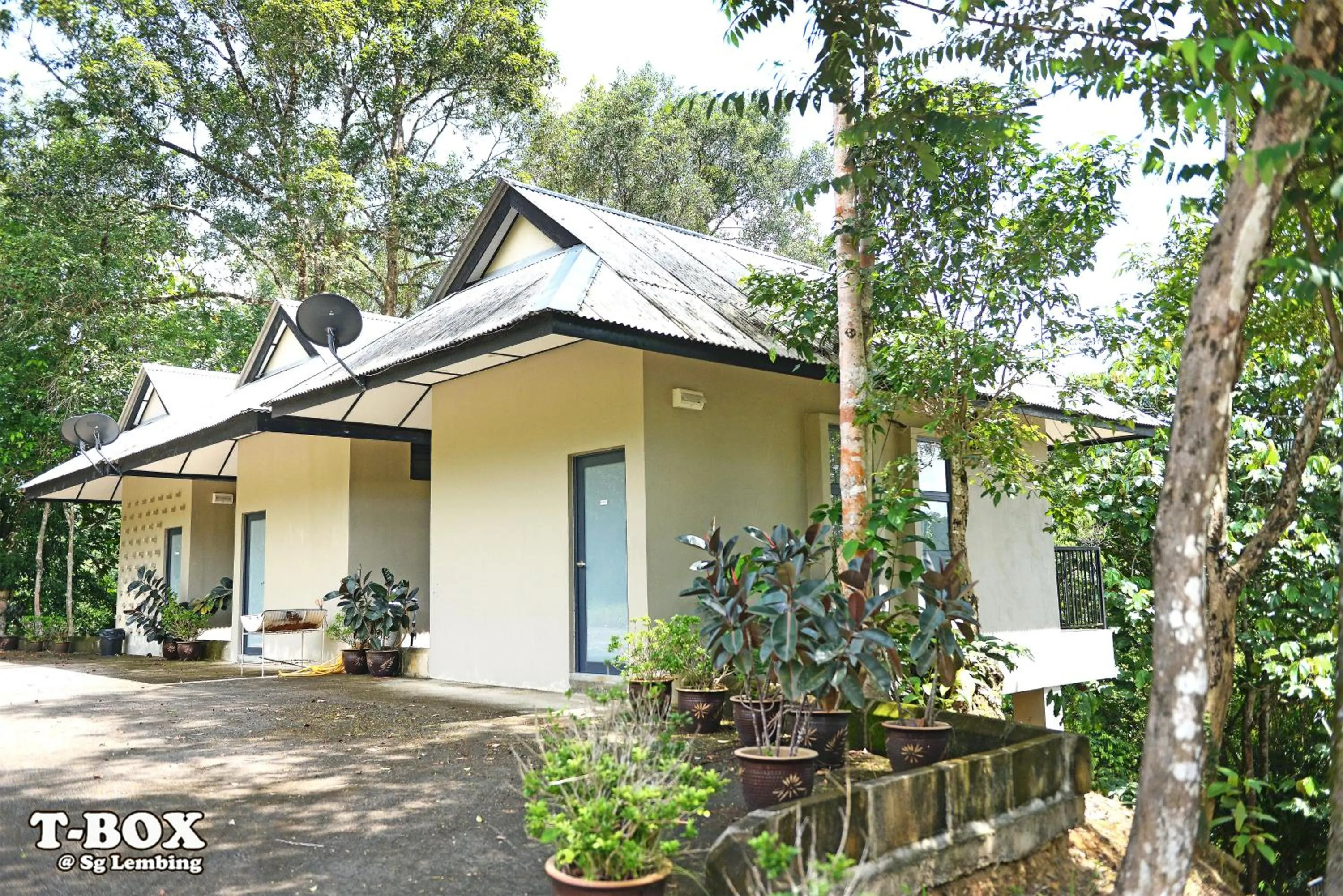 Property building in T-Box Sungai Lembing