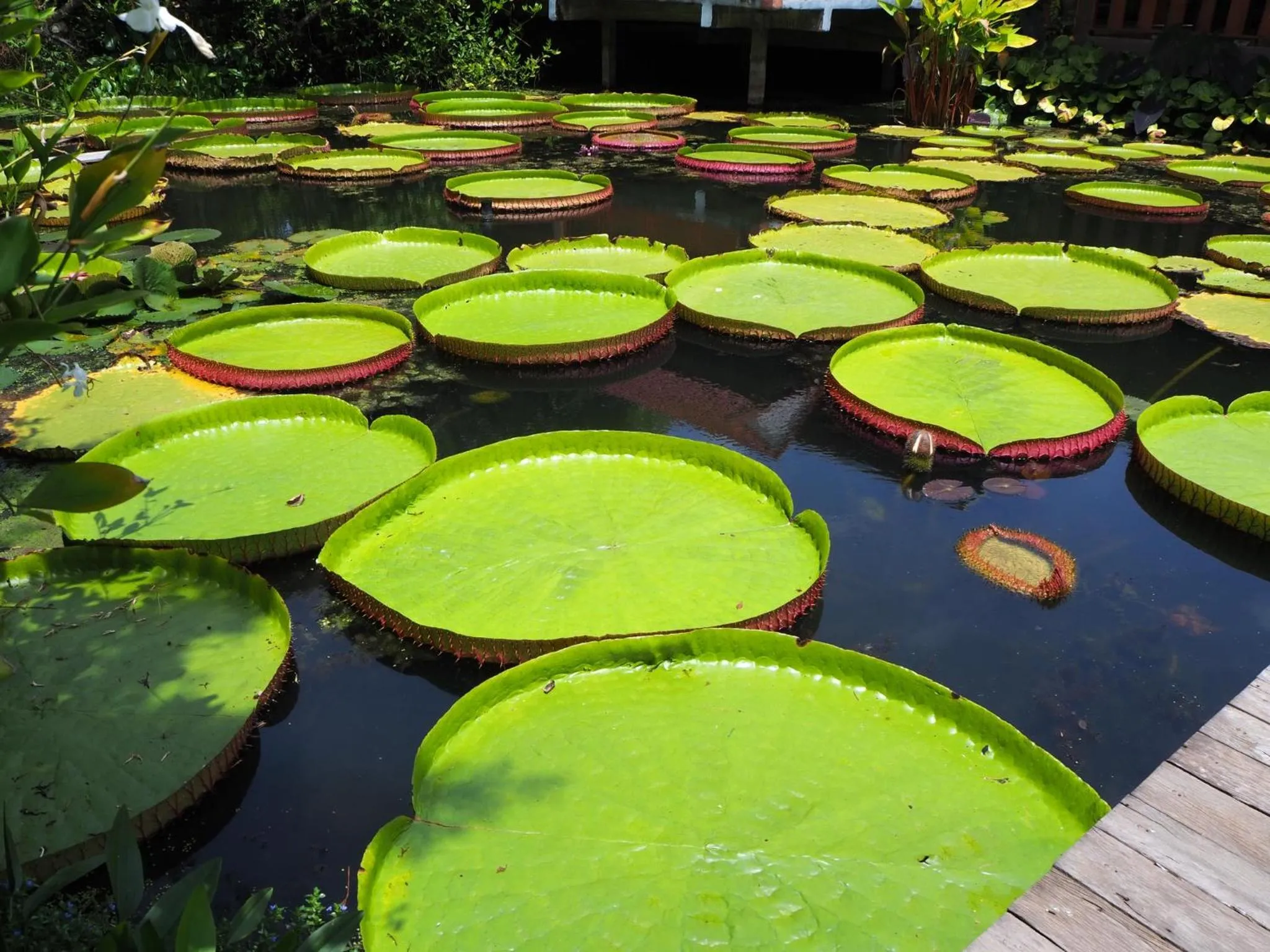 Garden view in Muaan Resort
