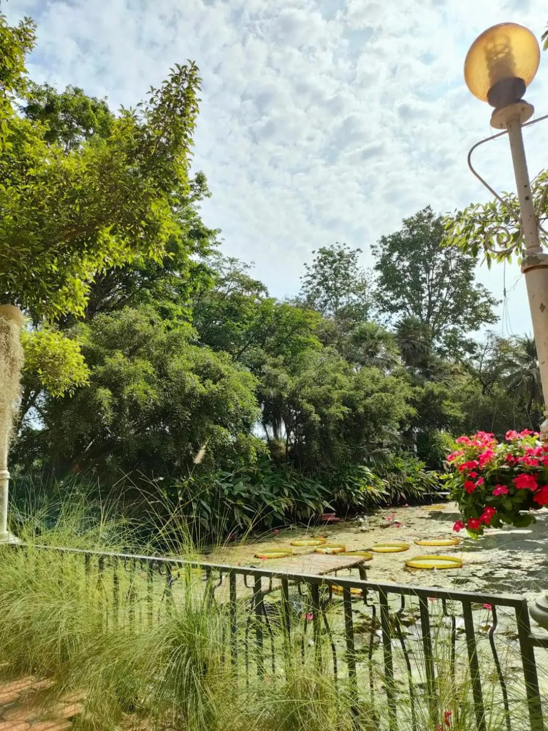 View (from property/room) in Muaan Resort