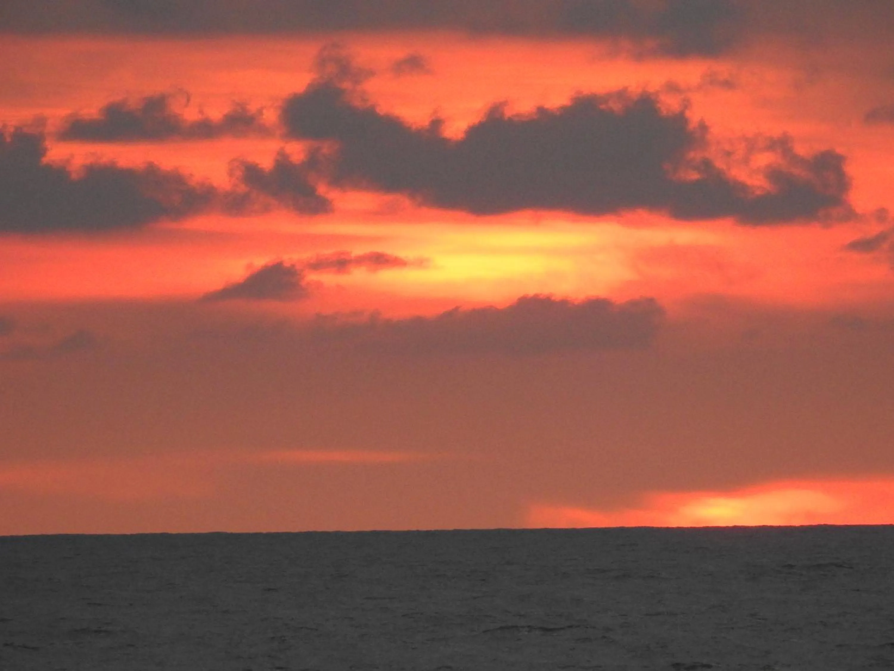 Alleppey Beach Garden