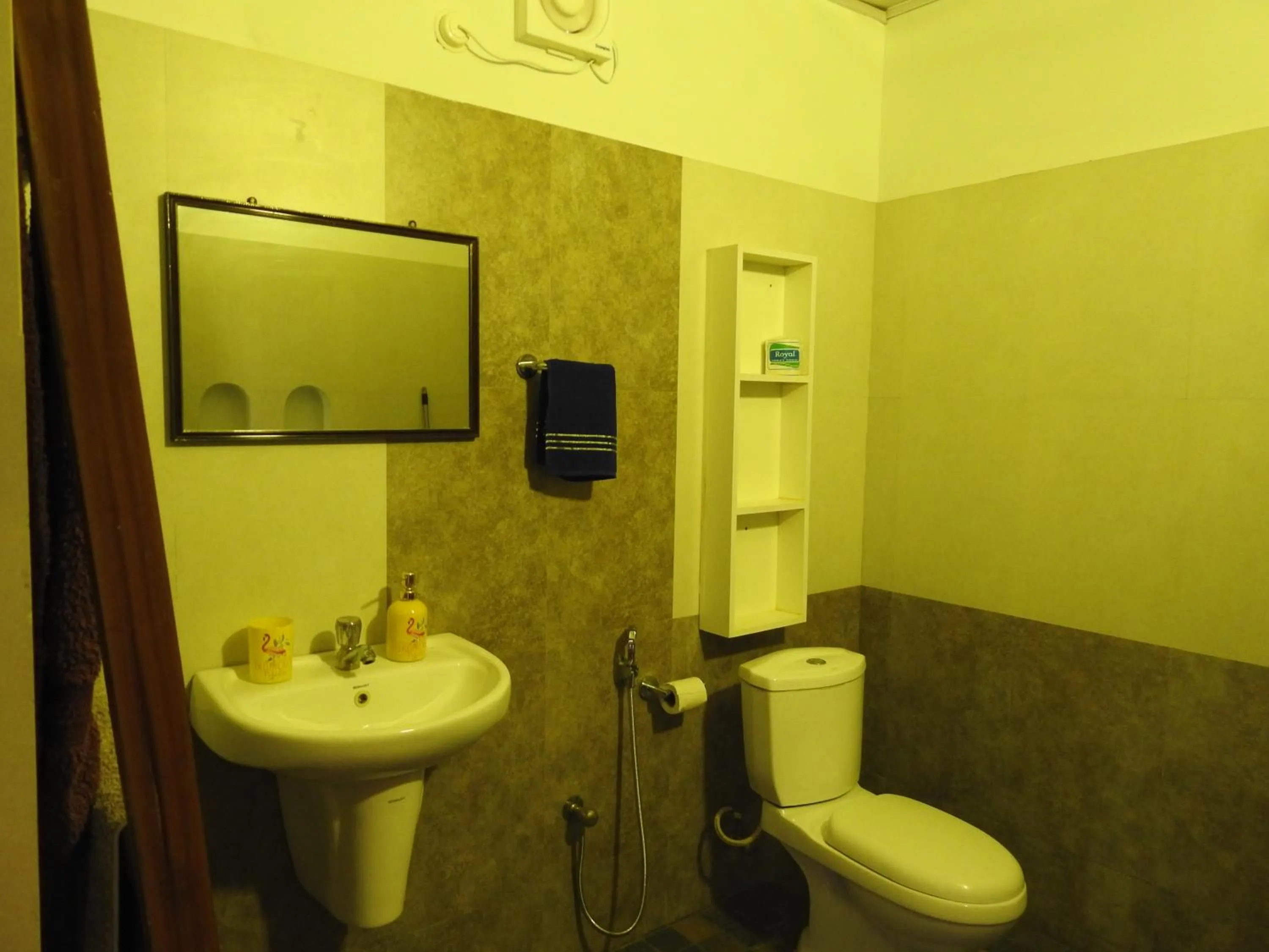 Alleppey Beach Garden