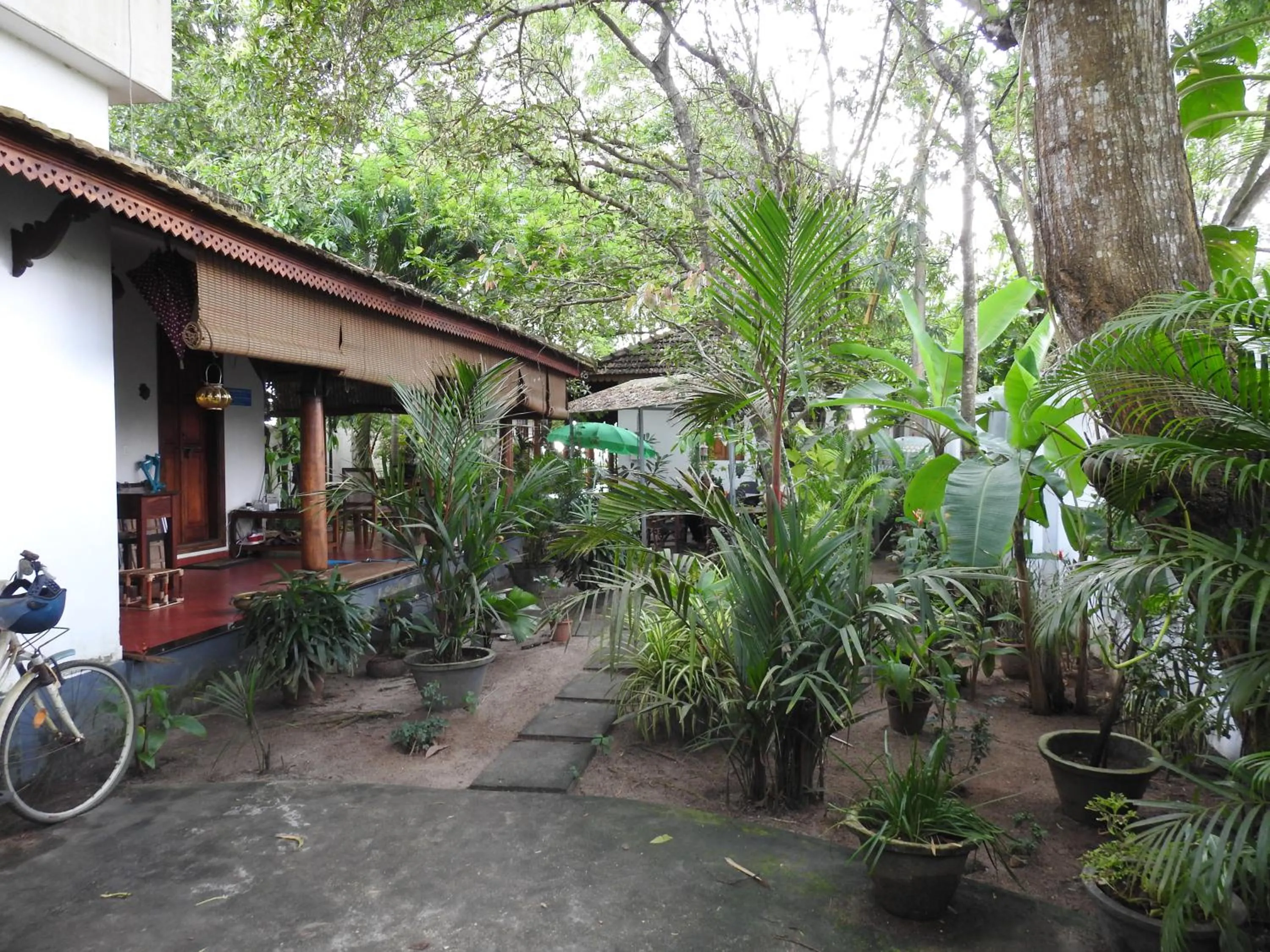 Alleppey Beach Garden