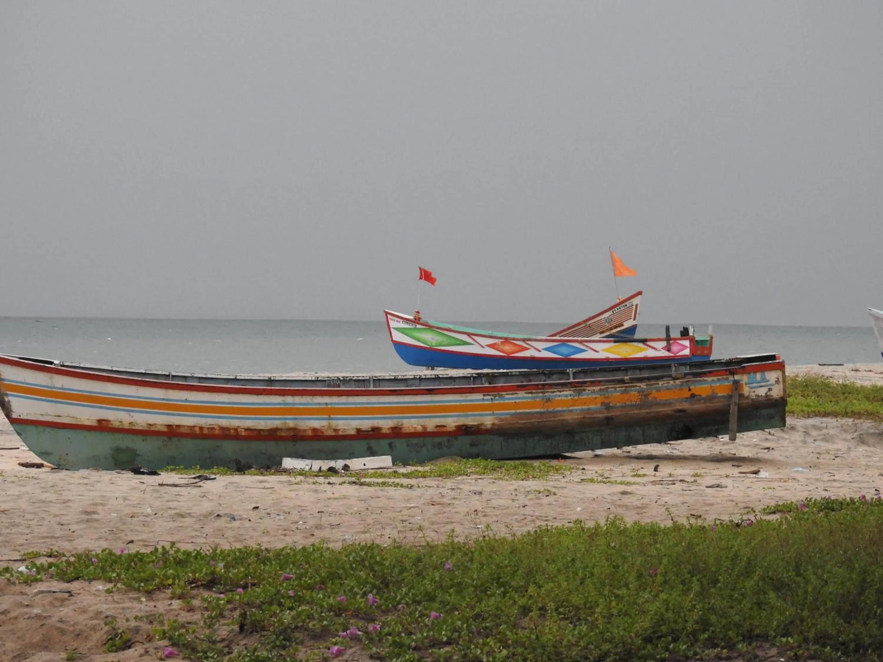Alleppey Beach Garden