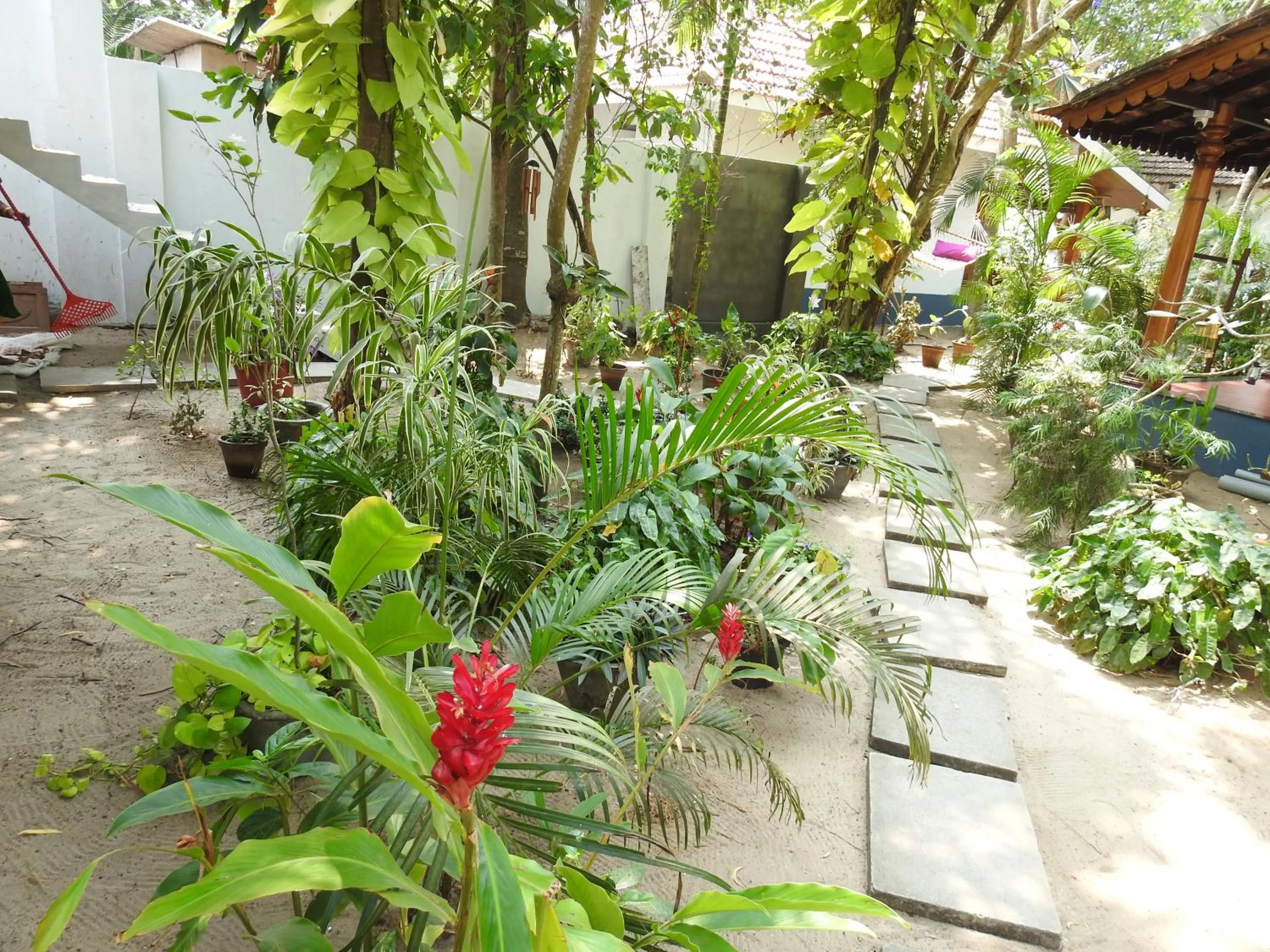 Alleppey Beach Garden