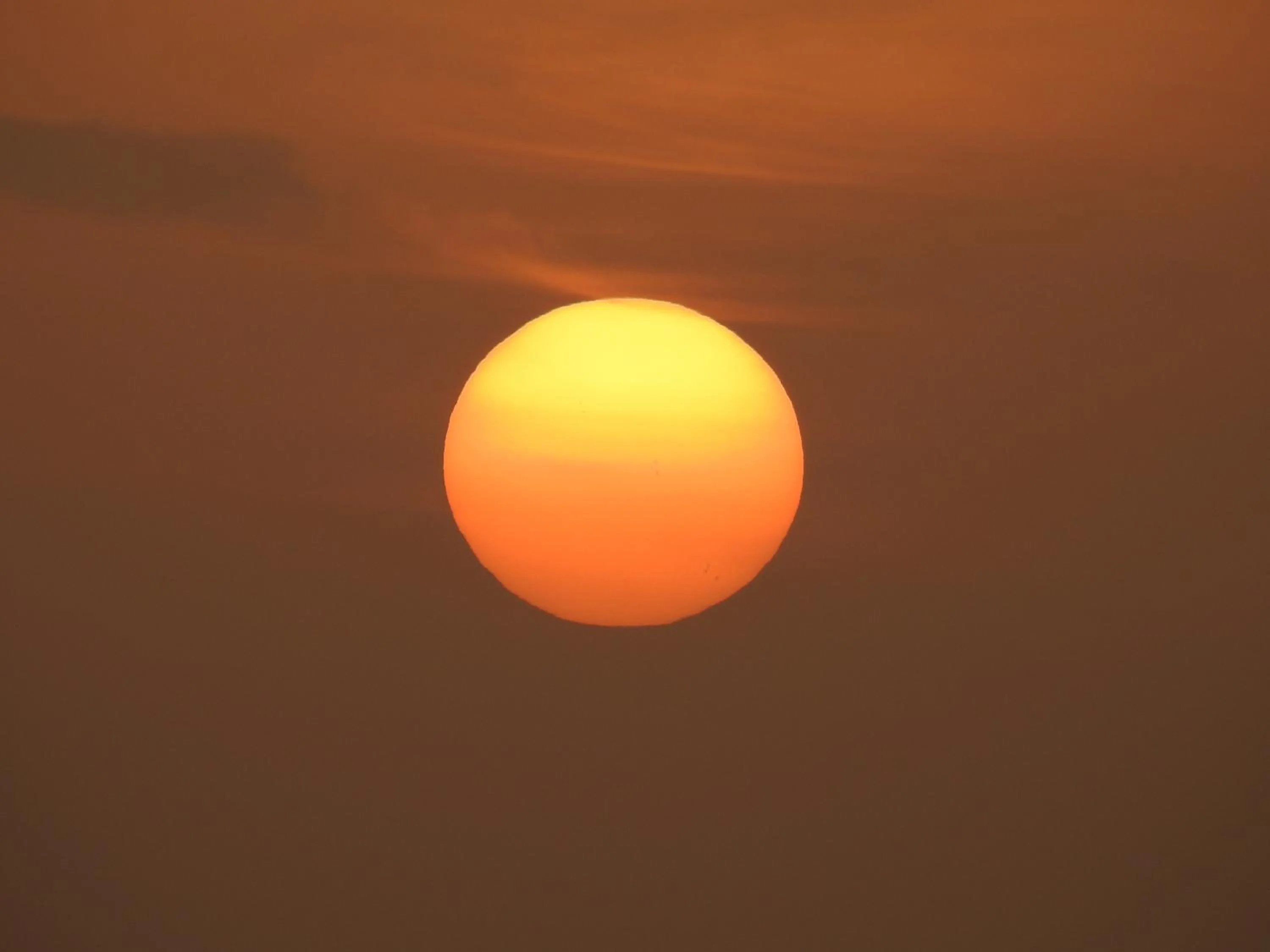 Sea view in Alleppey Beach Garden