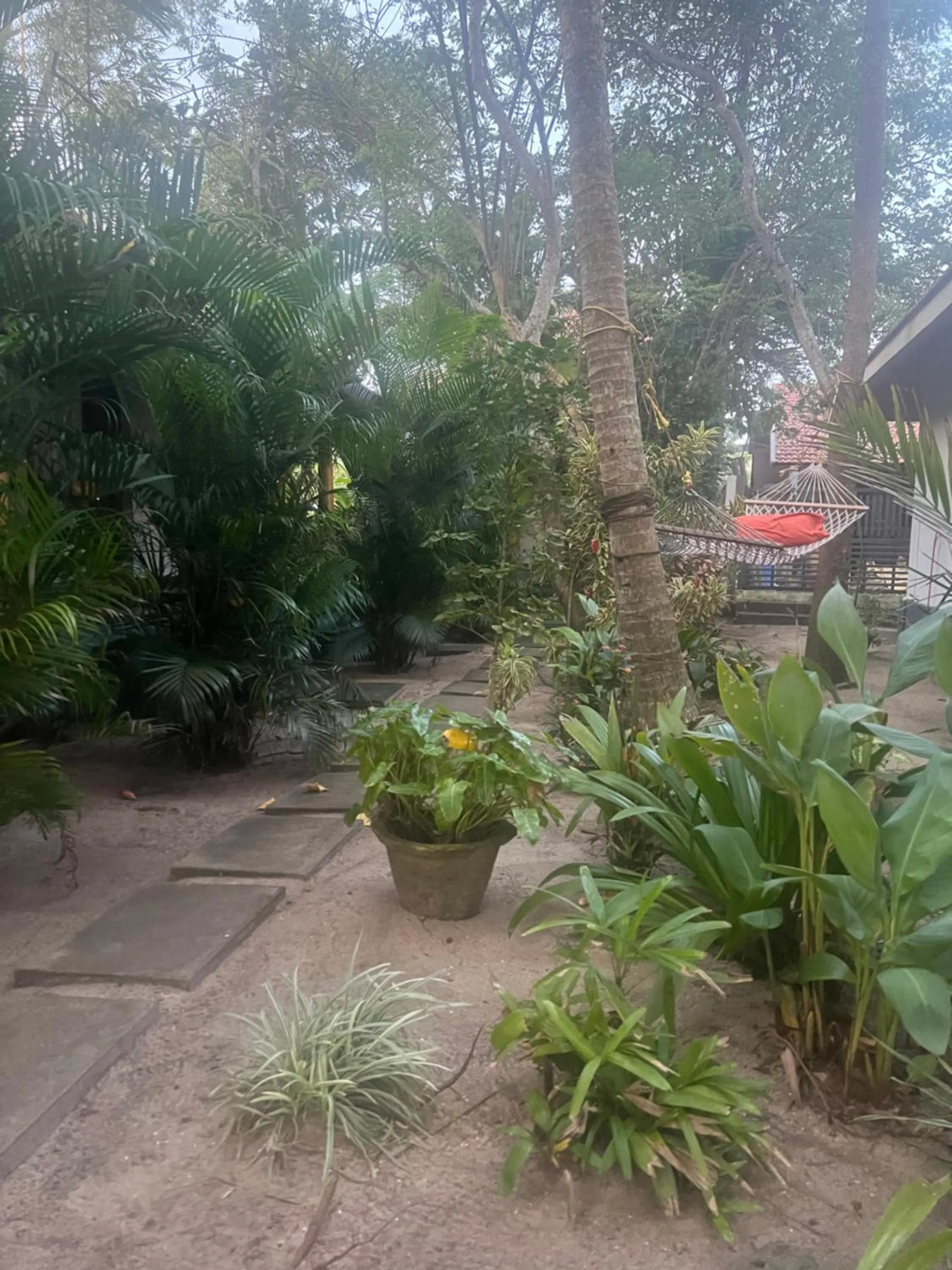 Alleppey Beach Garden