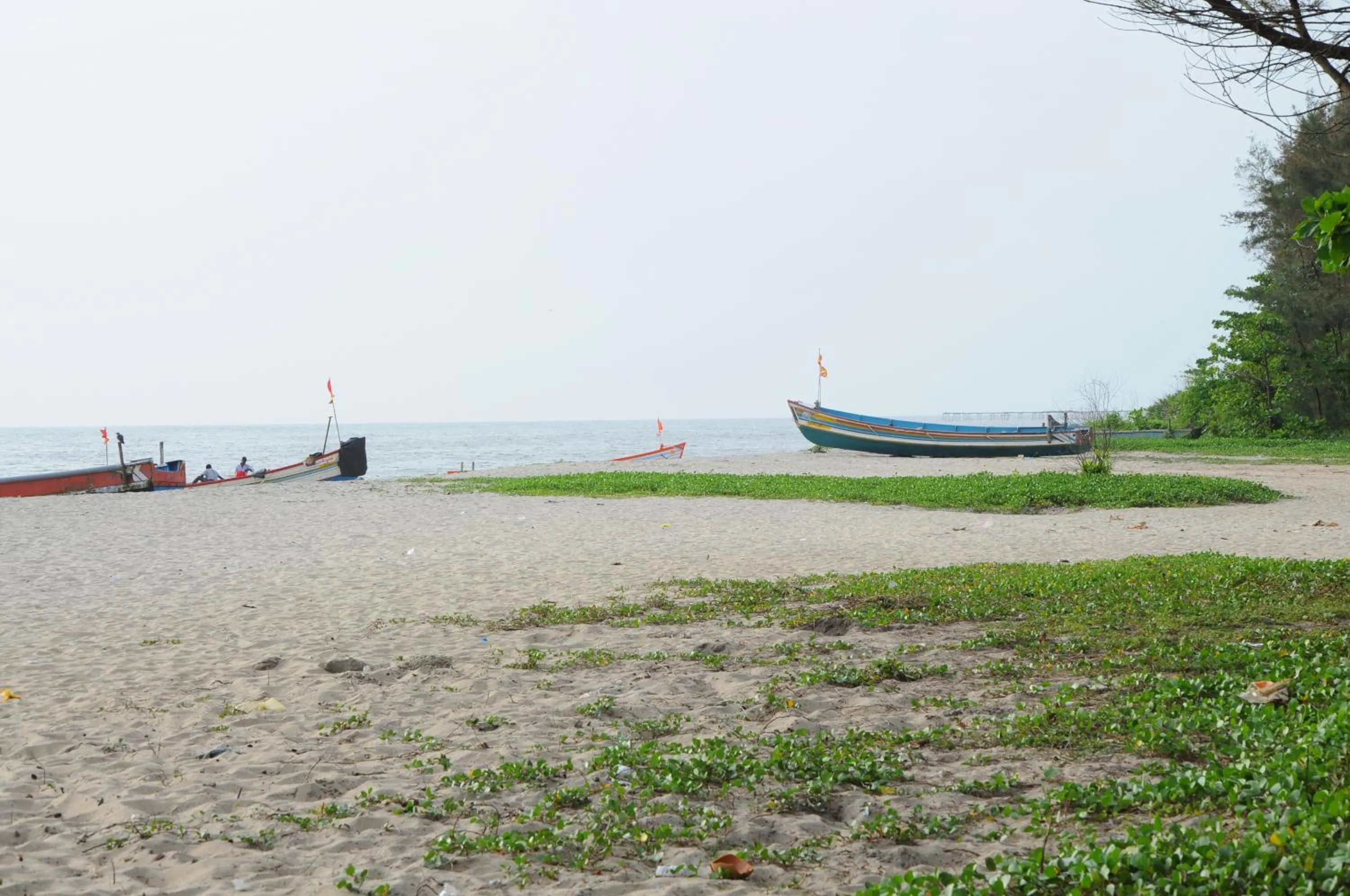 Beach in Alleppey Beach Garden