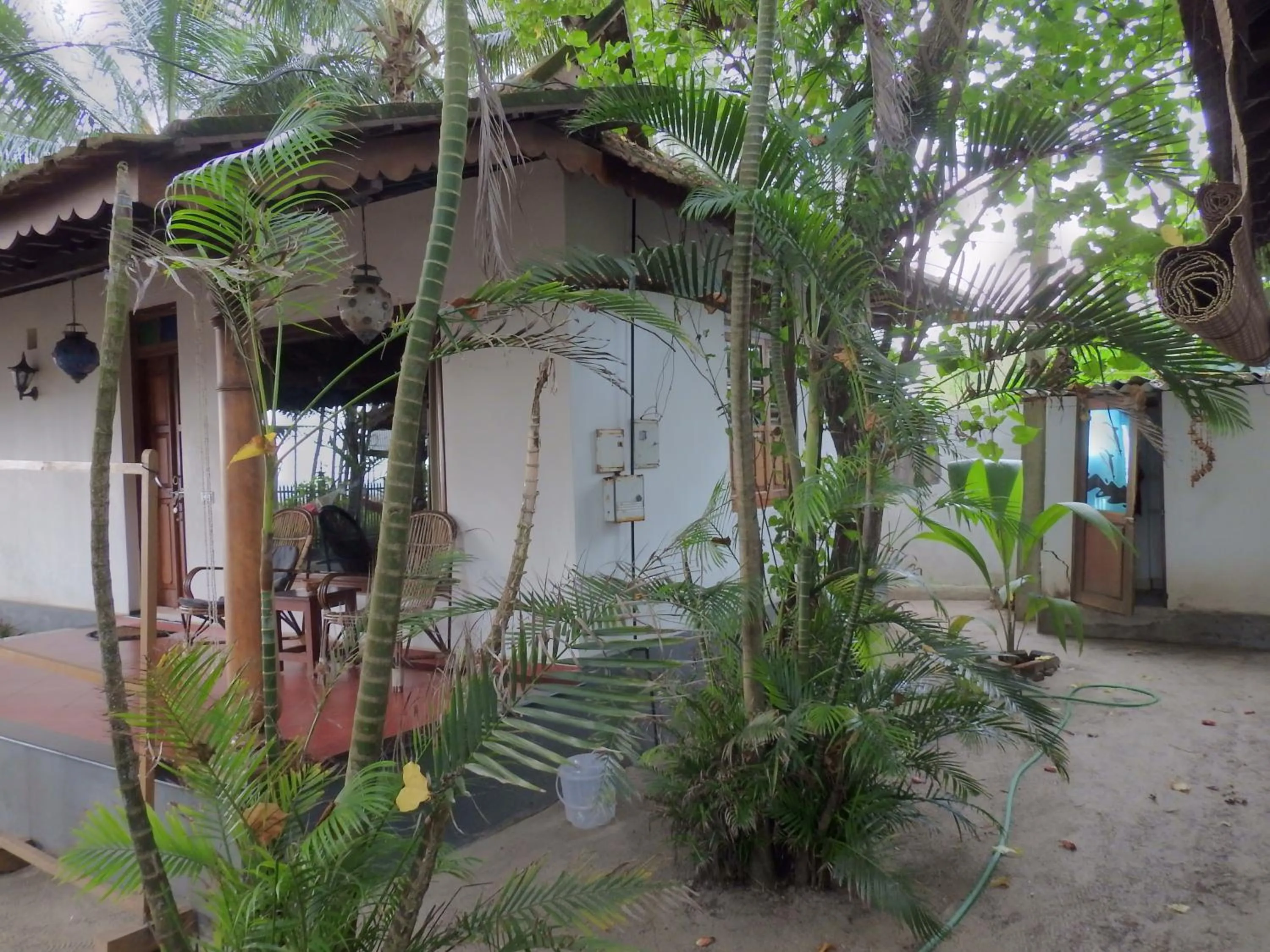 Alleppey Beach Garden