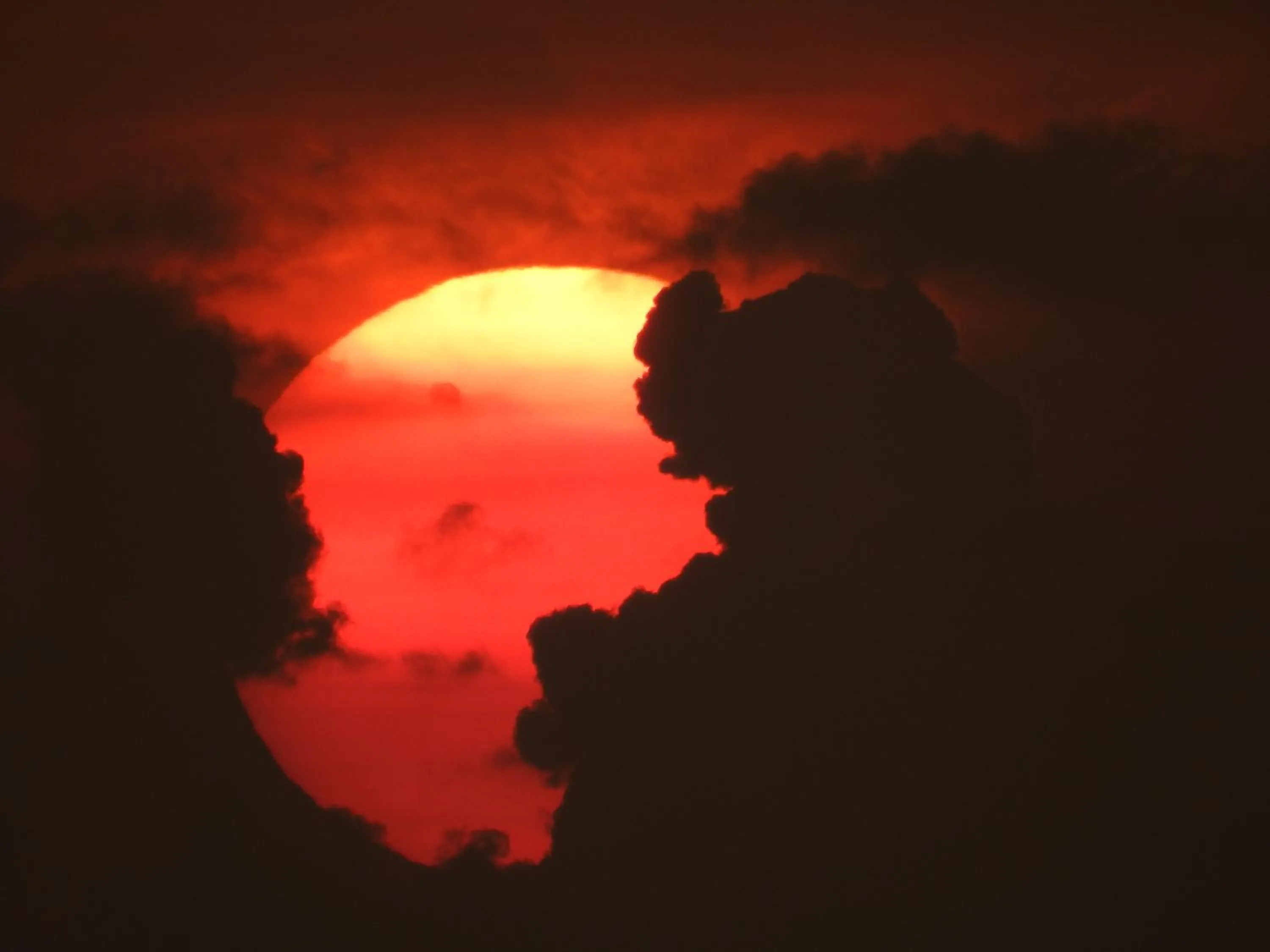 Sunset in Alleppey Beach Garden