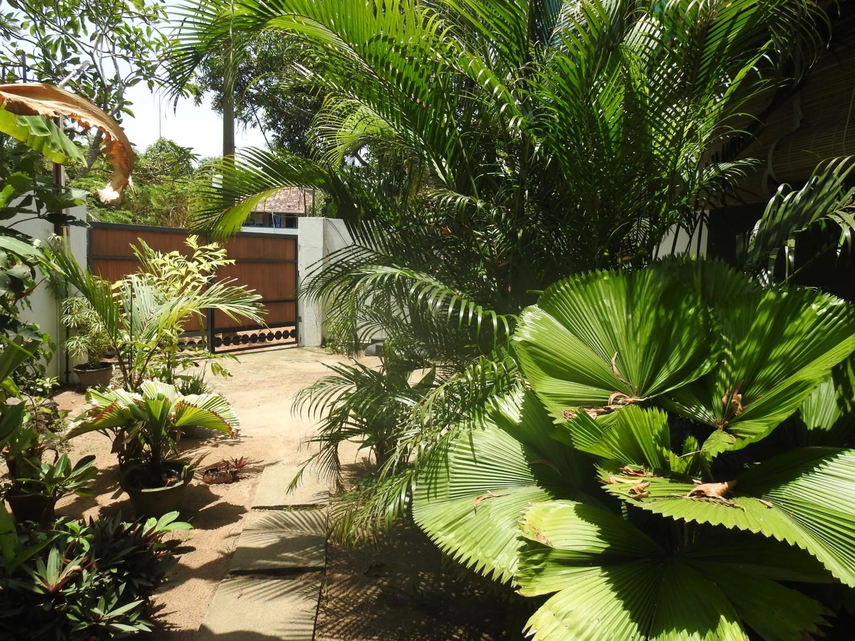 Alleppey Beach Garden