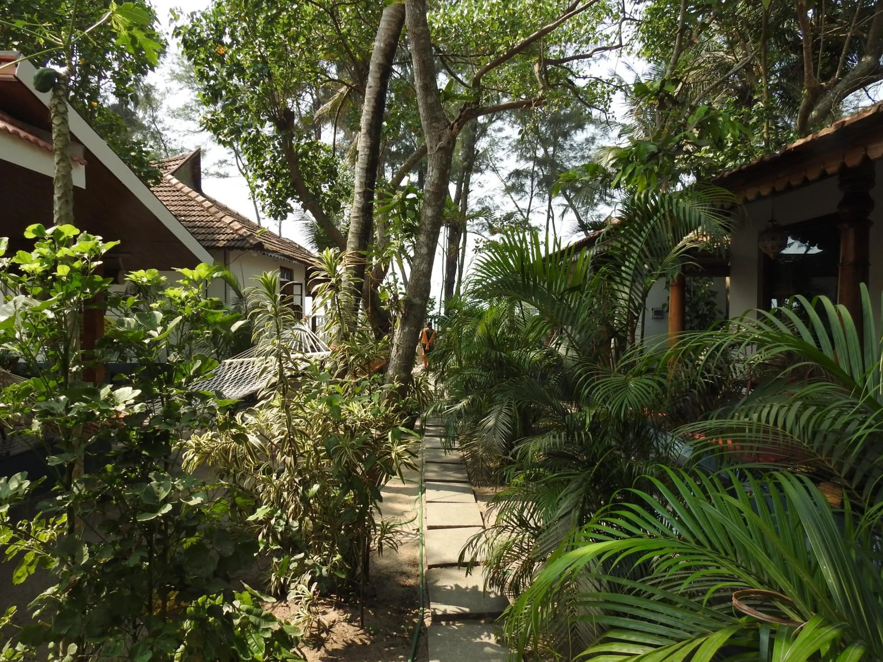 Alleppey Beach Garden
