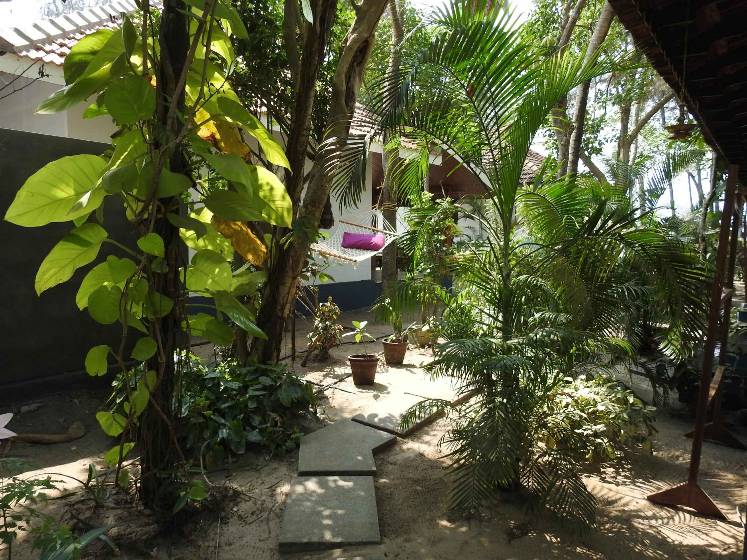 Alleppey Beach Garden