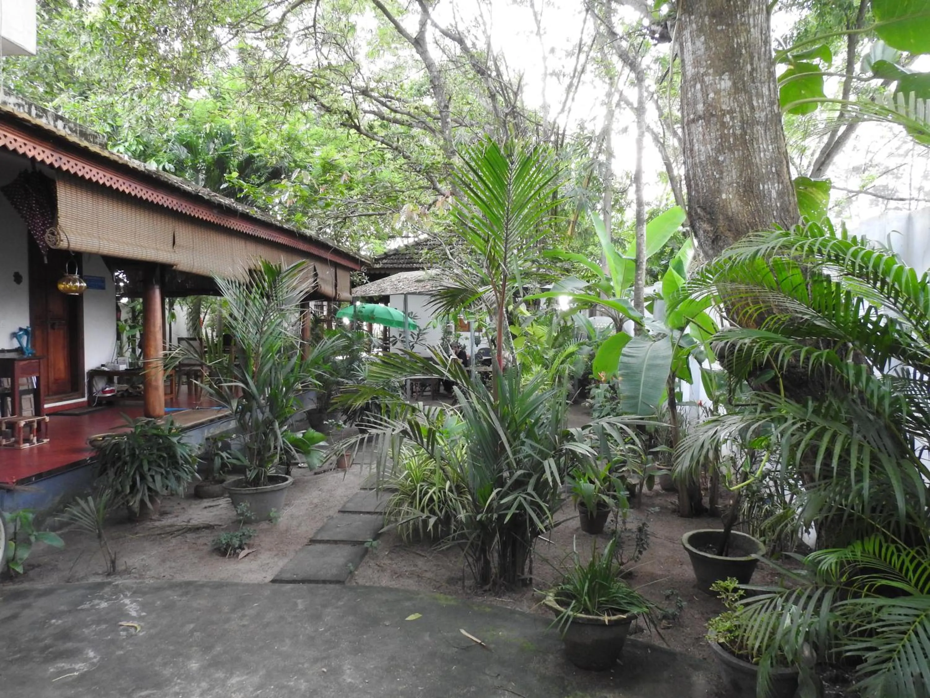 Alleppey Beach Garden