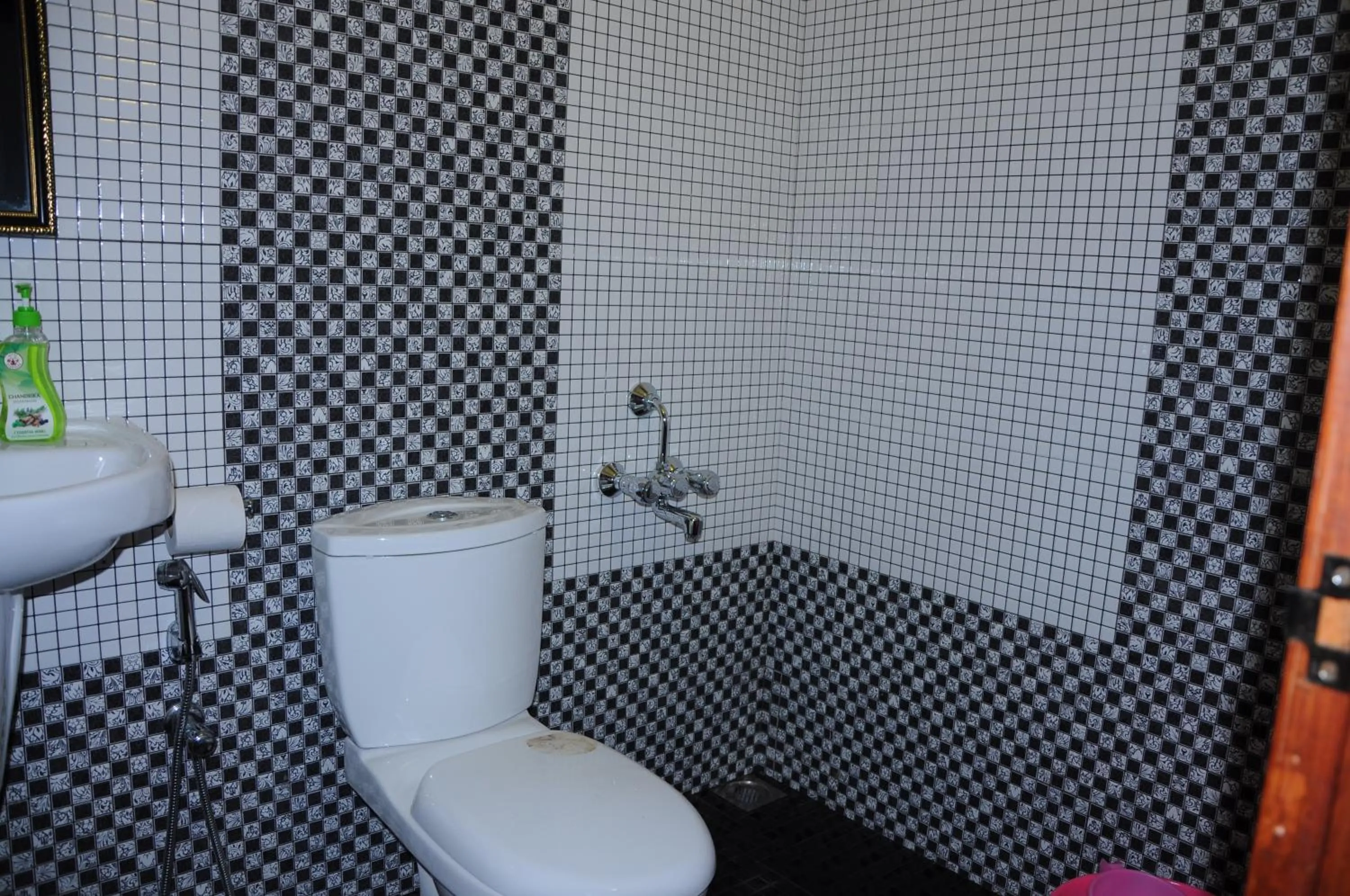 Toilet in Alleppey Beach Garden