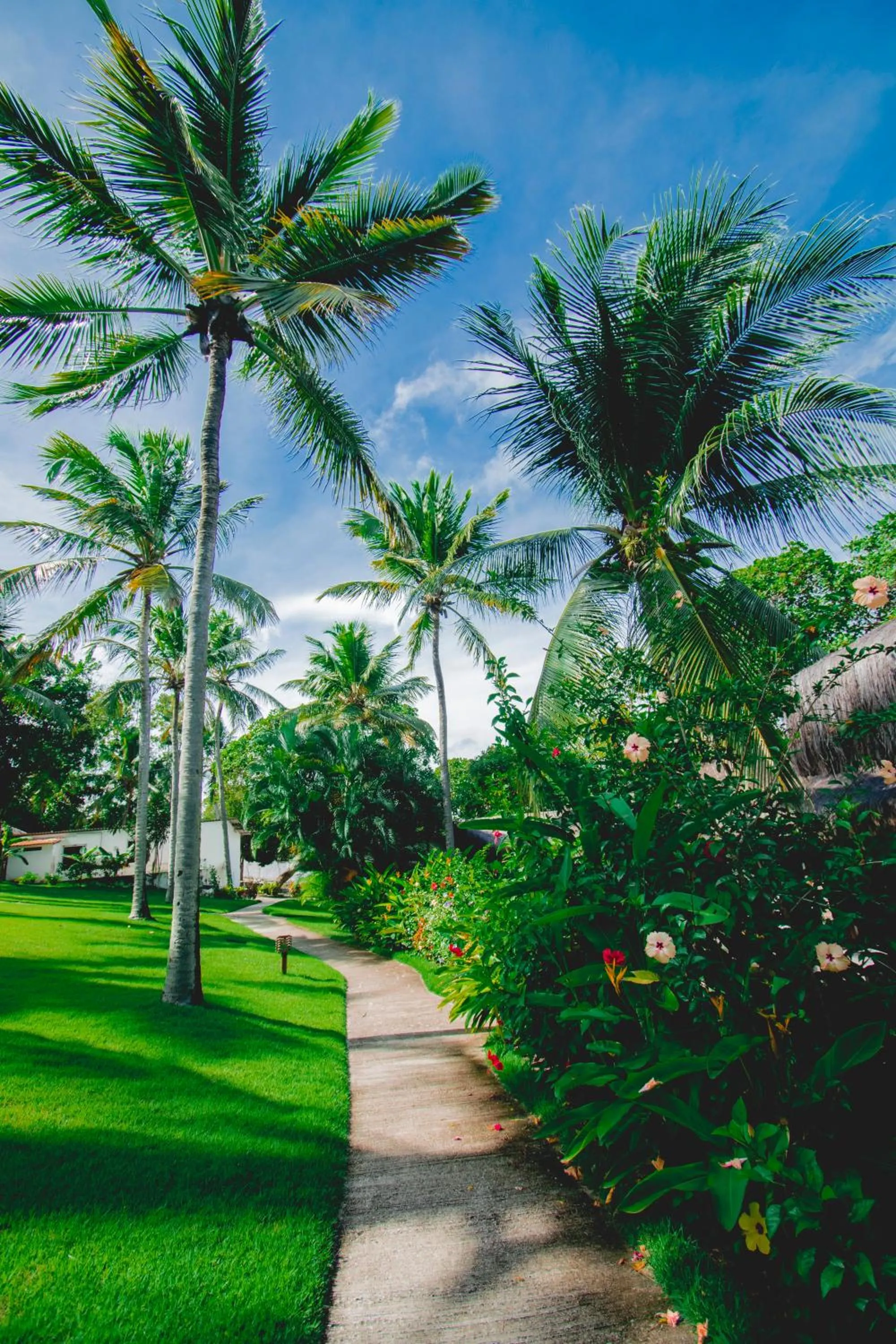 Garden in Madeiro Beach Hotel