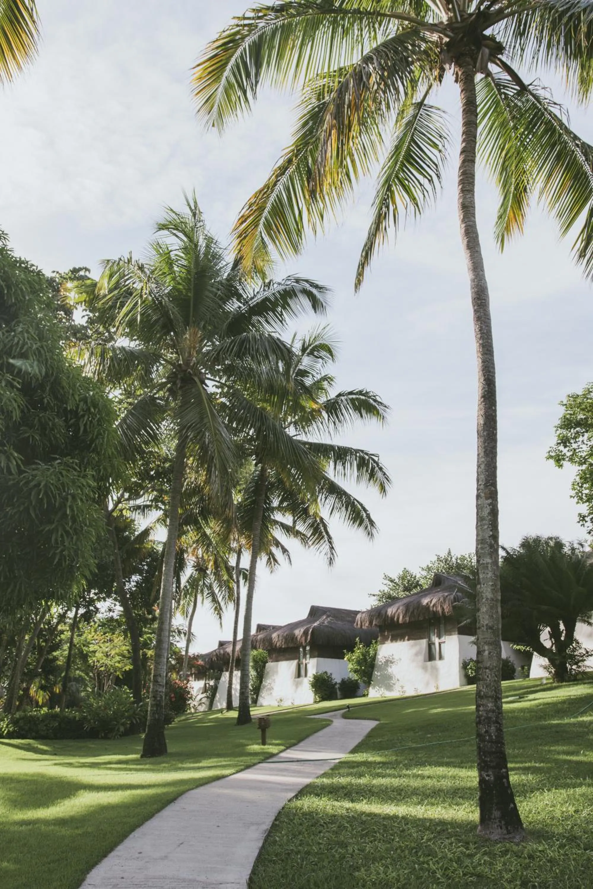 Garden in Madeiro Beach Hotel