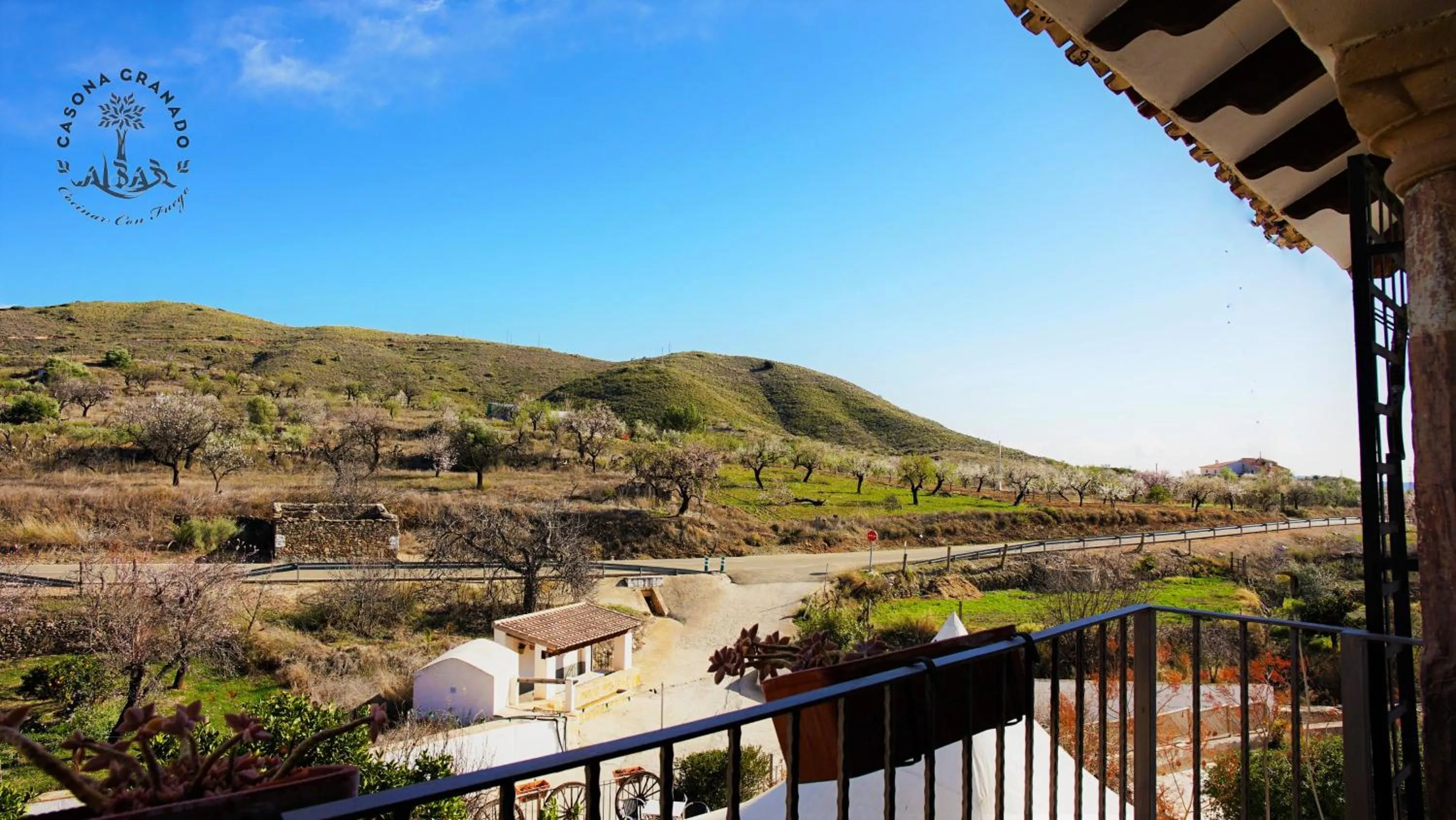 View (from property/room) in Casona Granado