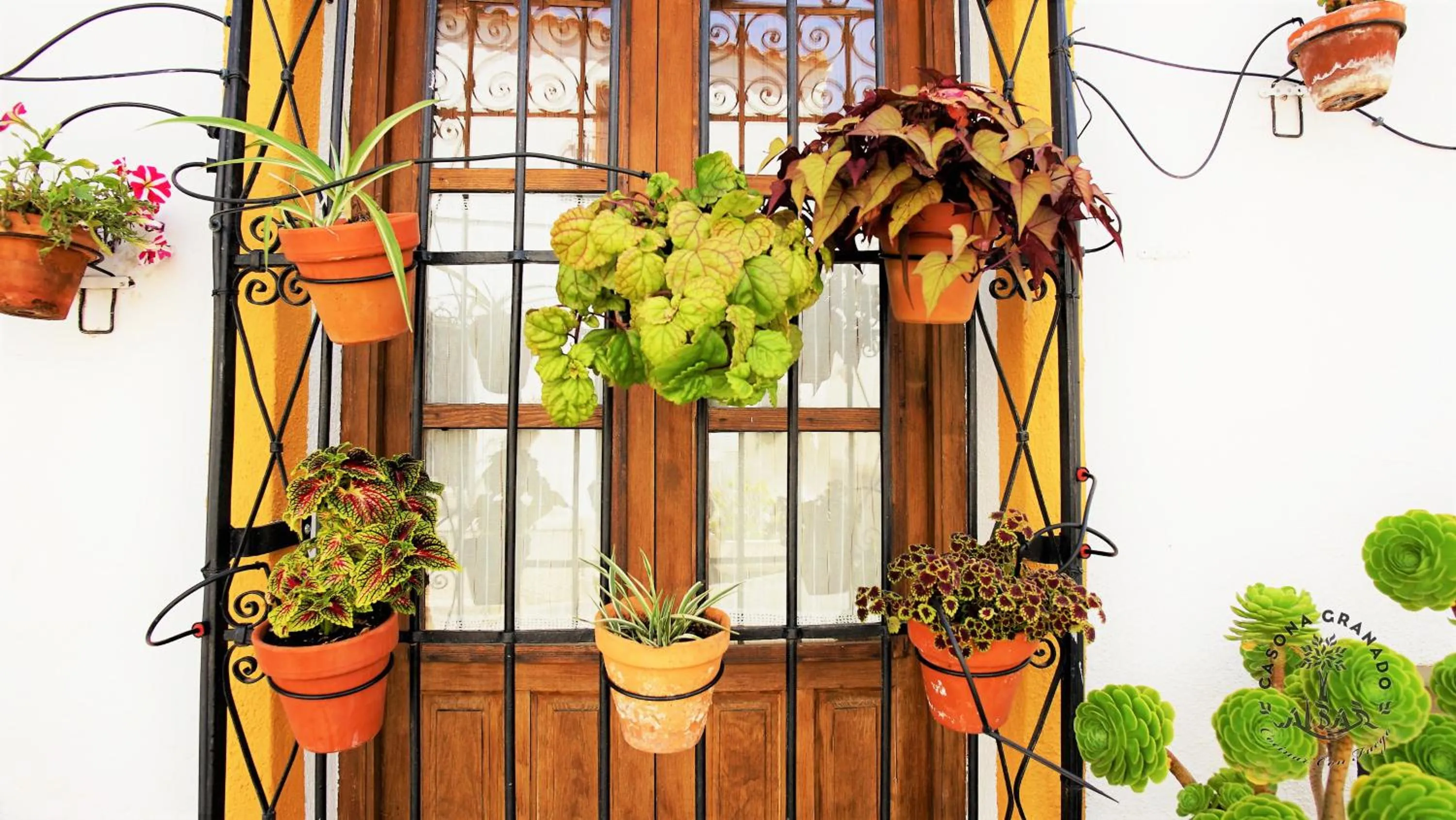 View (from property/room) in Casona Granado