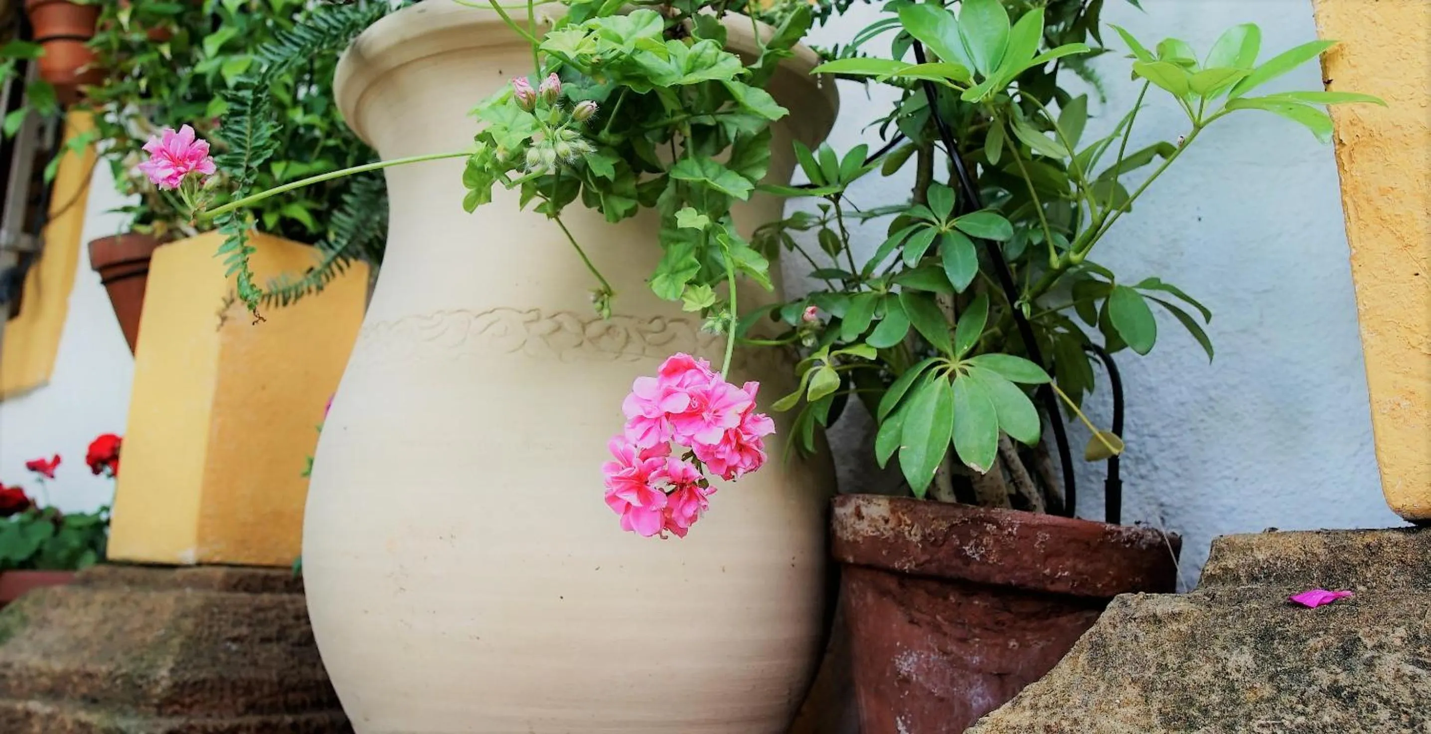 Facade/entrance in Casona Granado