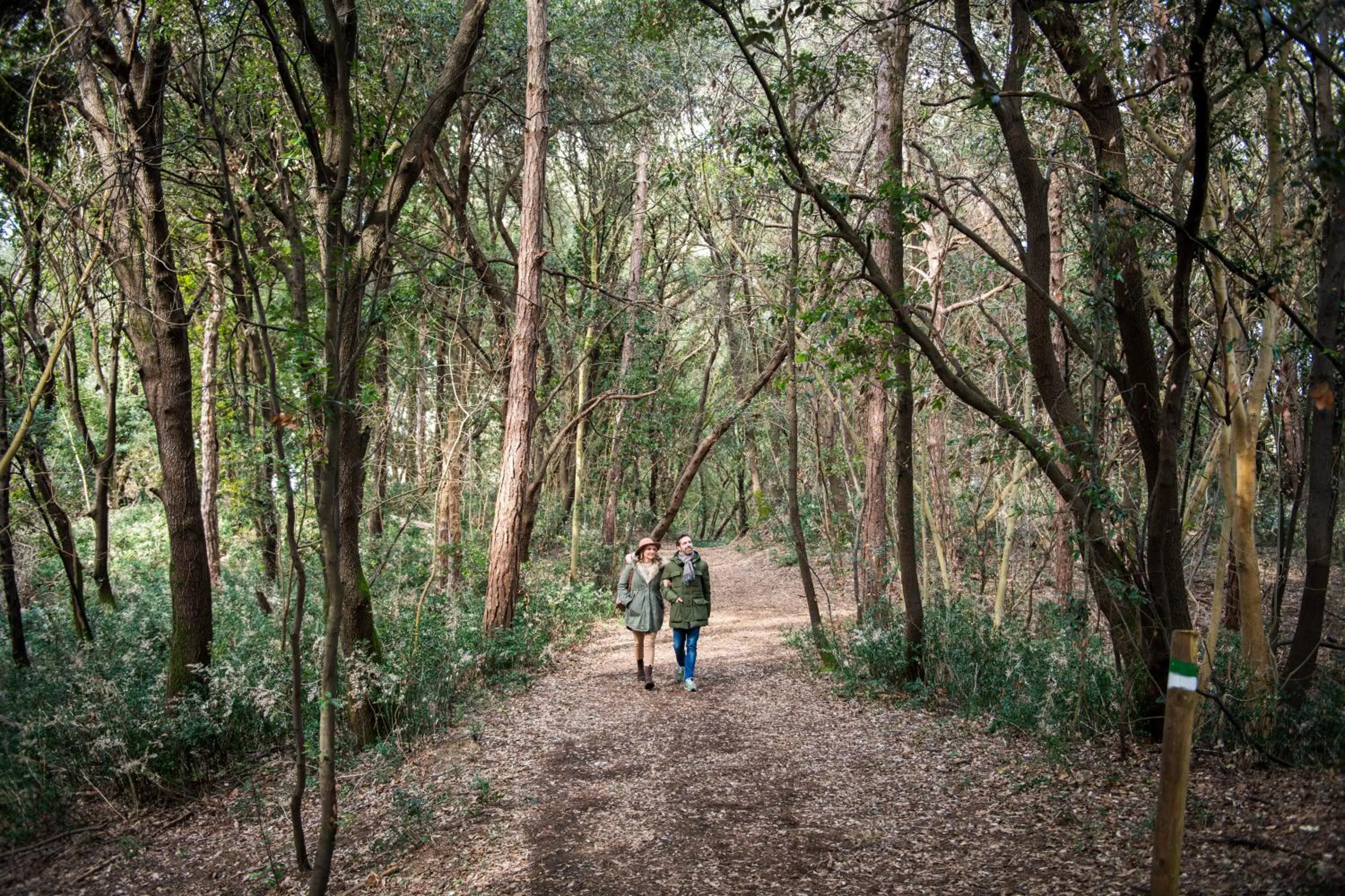 Natural landscape in Savoy Beach Hotel & Thermal Spa