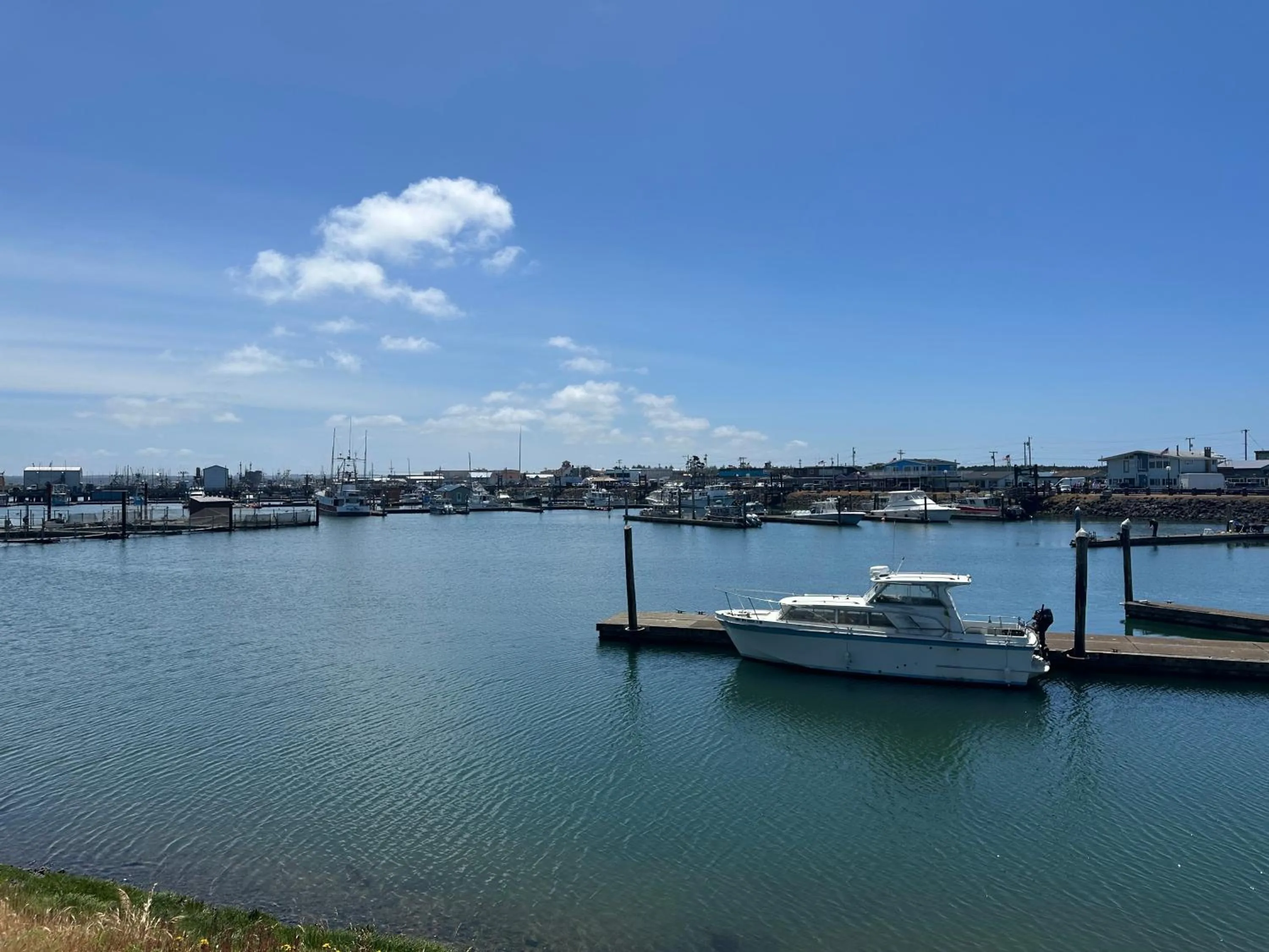 Sea view in Westport Marina Cottages