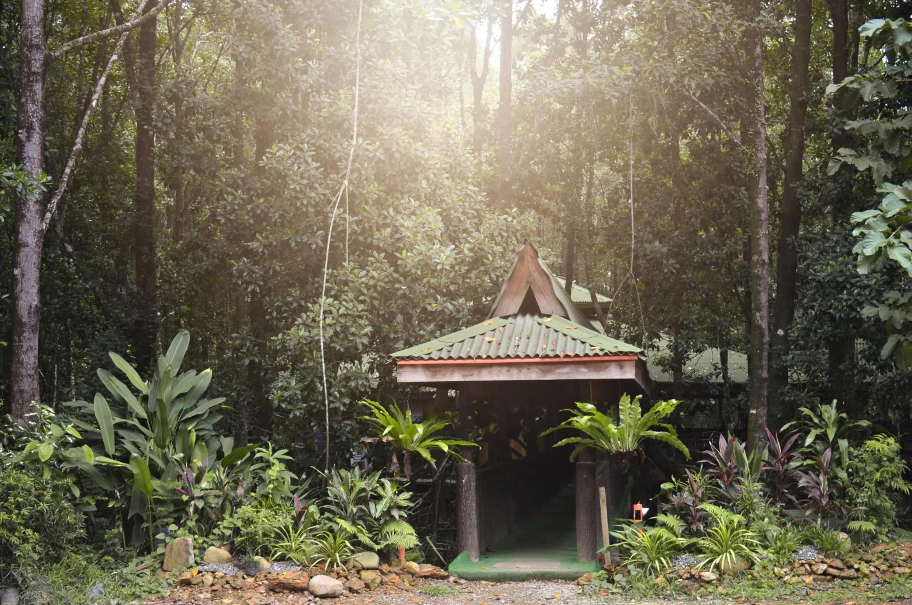 Property building in Villa Israel Ecopark El Nido