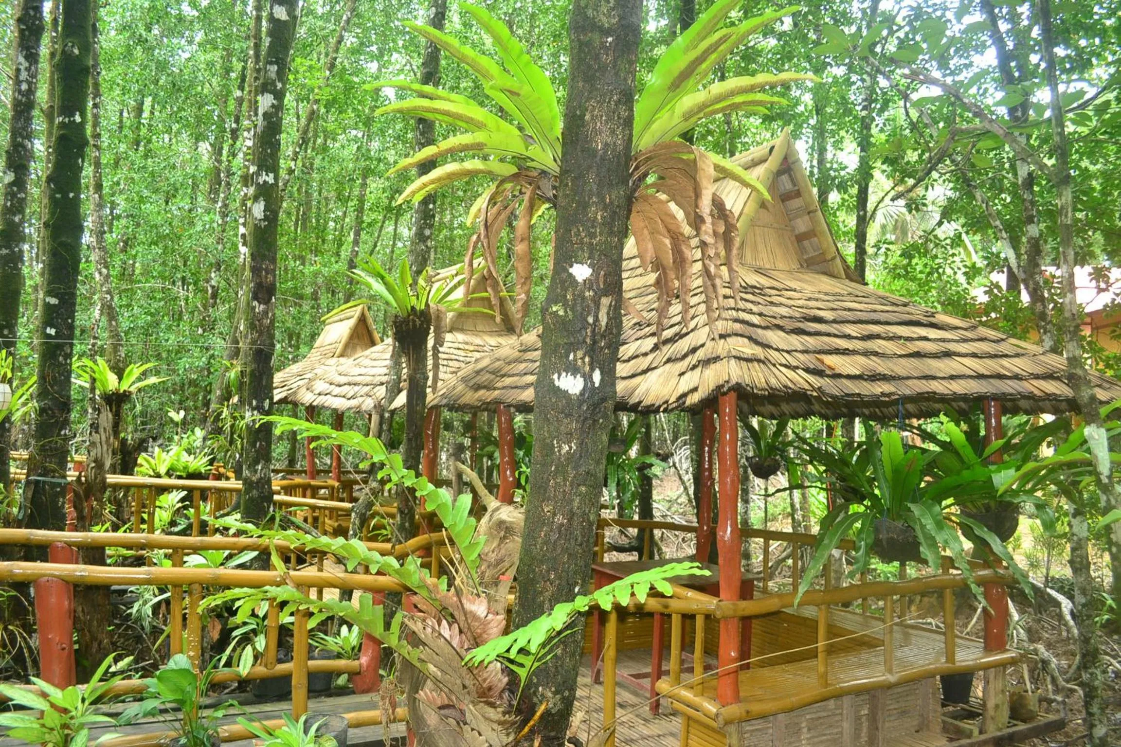 Restaurant/places to eat in Villa Israel Ecopark El Nido
