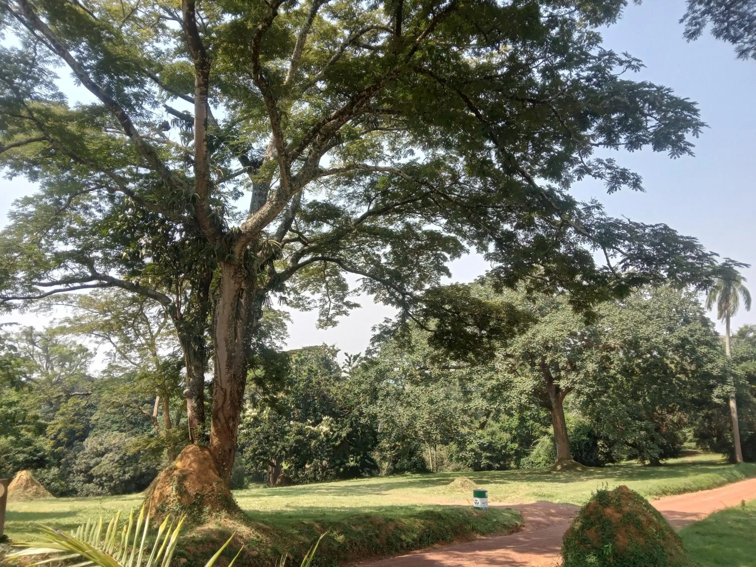 Nearby landmark in Mowicribs Hotel and Spa