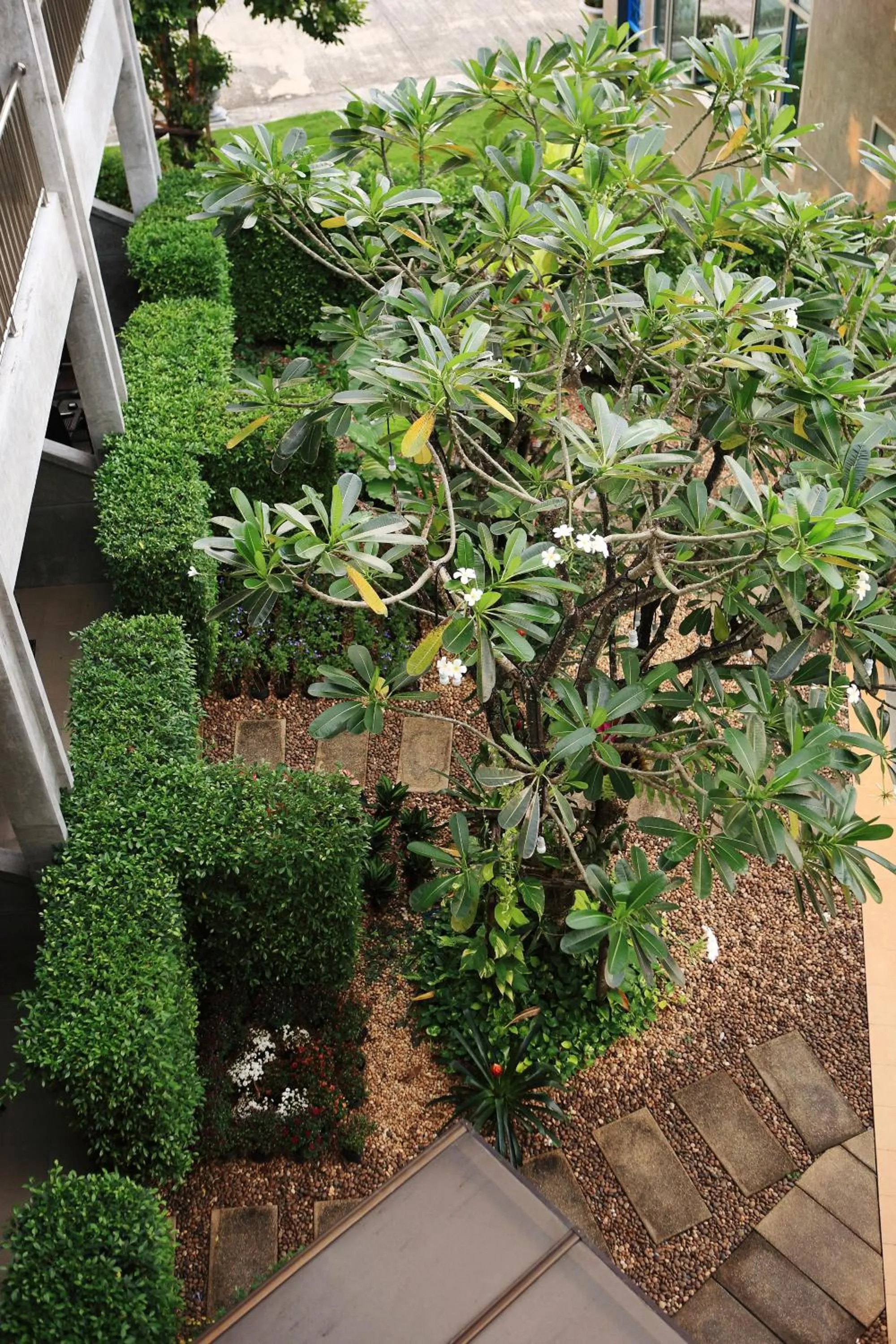 Garden view in The Malika Hotel - SHA Extra Plus