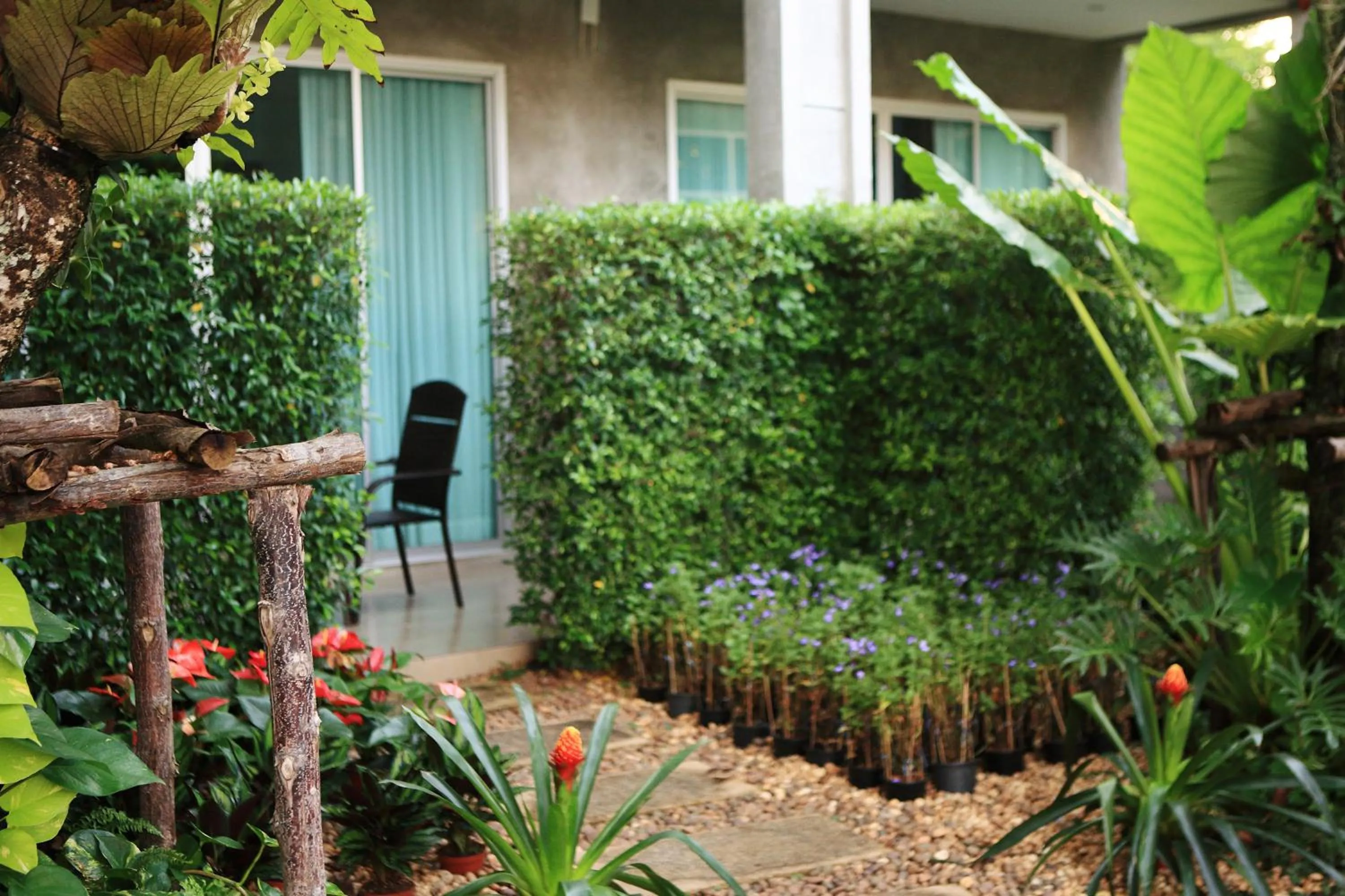 Balcony/Terrace in The Malika Hotel - SHA Extra Plus