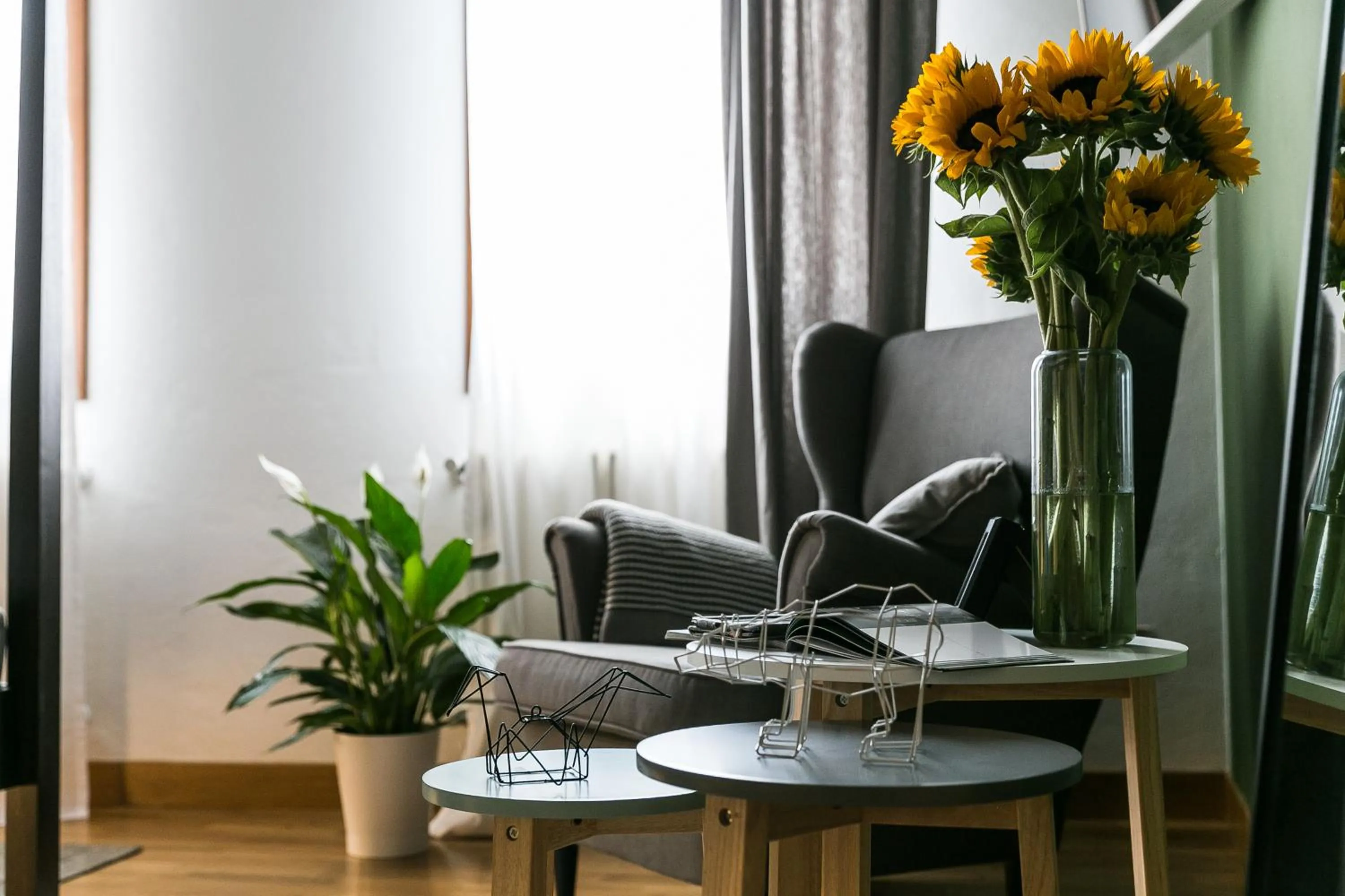 Photo of the whole room in Castelmenardo39