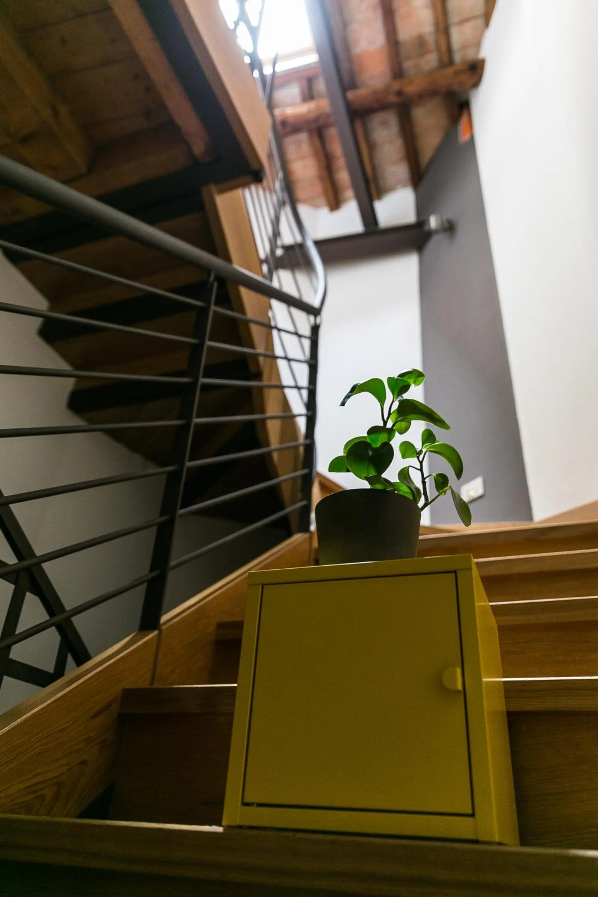 Decorative detail in Castelmenardo39