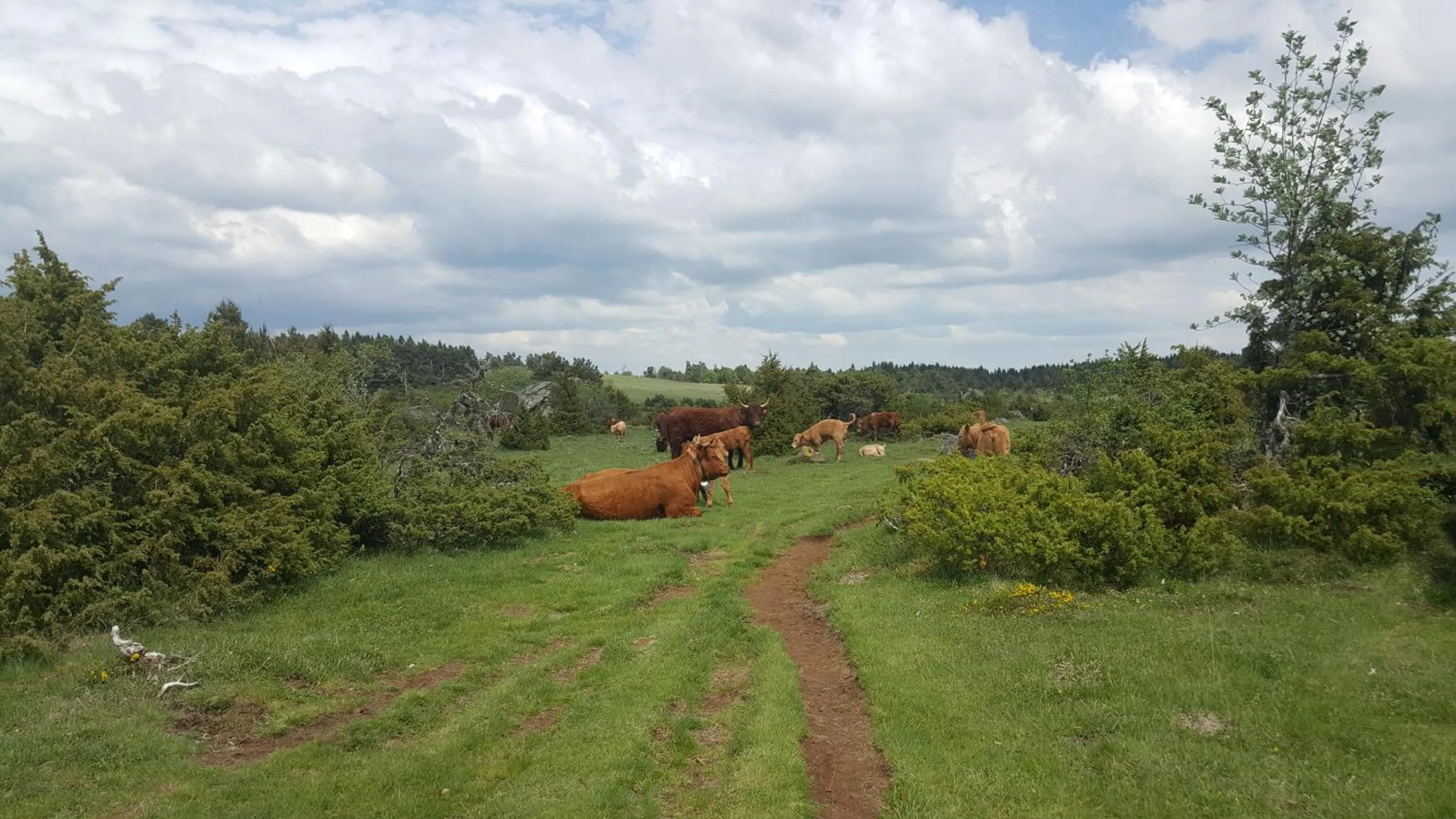 Natural landscape in Relais des castors