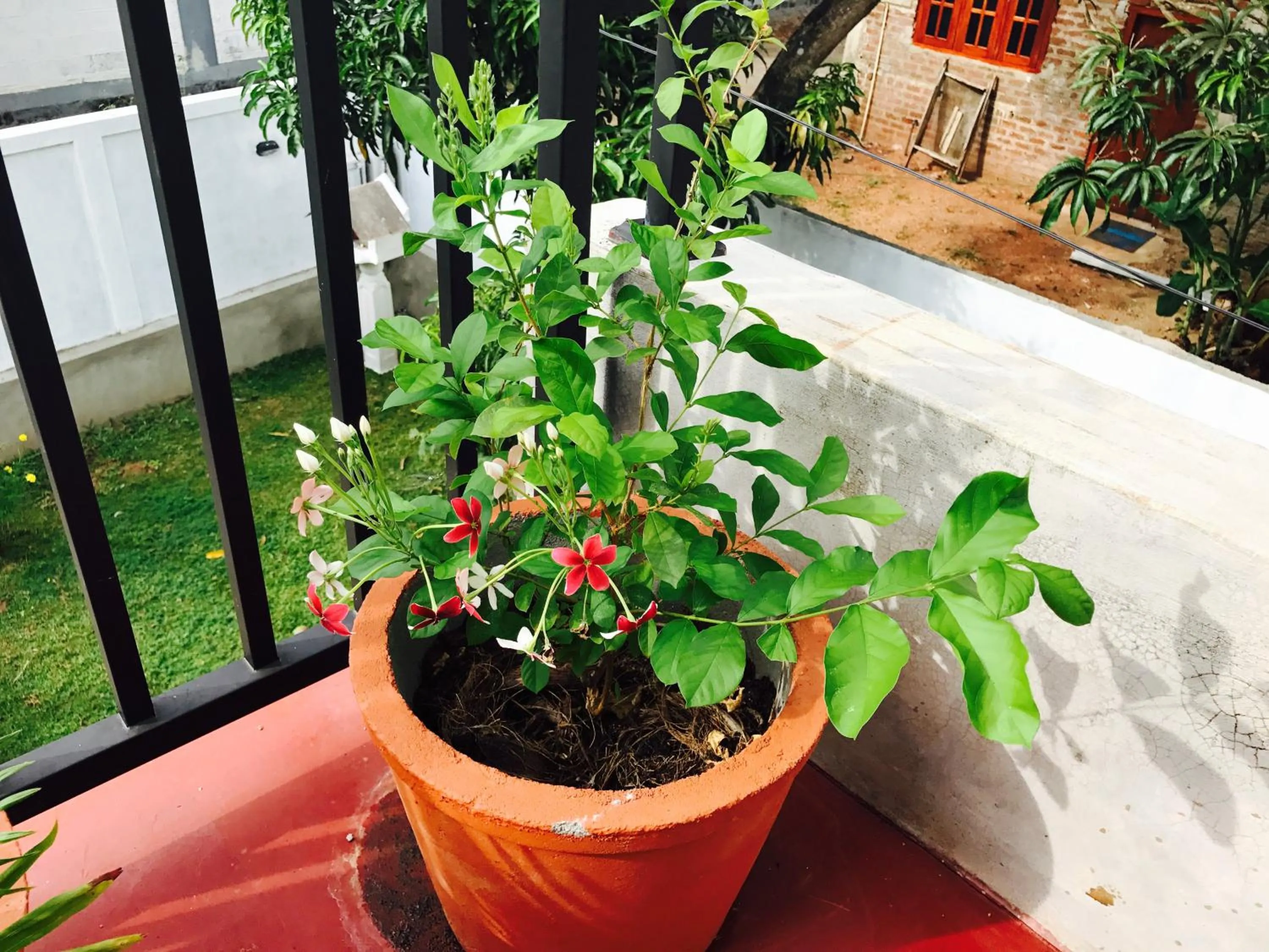 Day in Sanasuma Rest