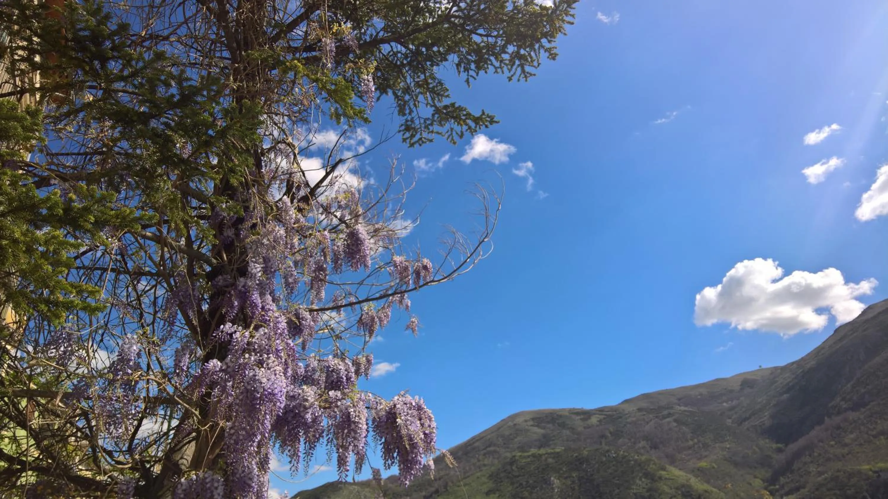 Nearby landmark in Antichi Feudi Dimora D'Epoca