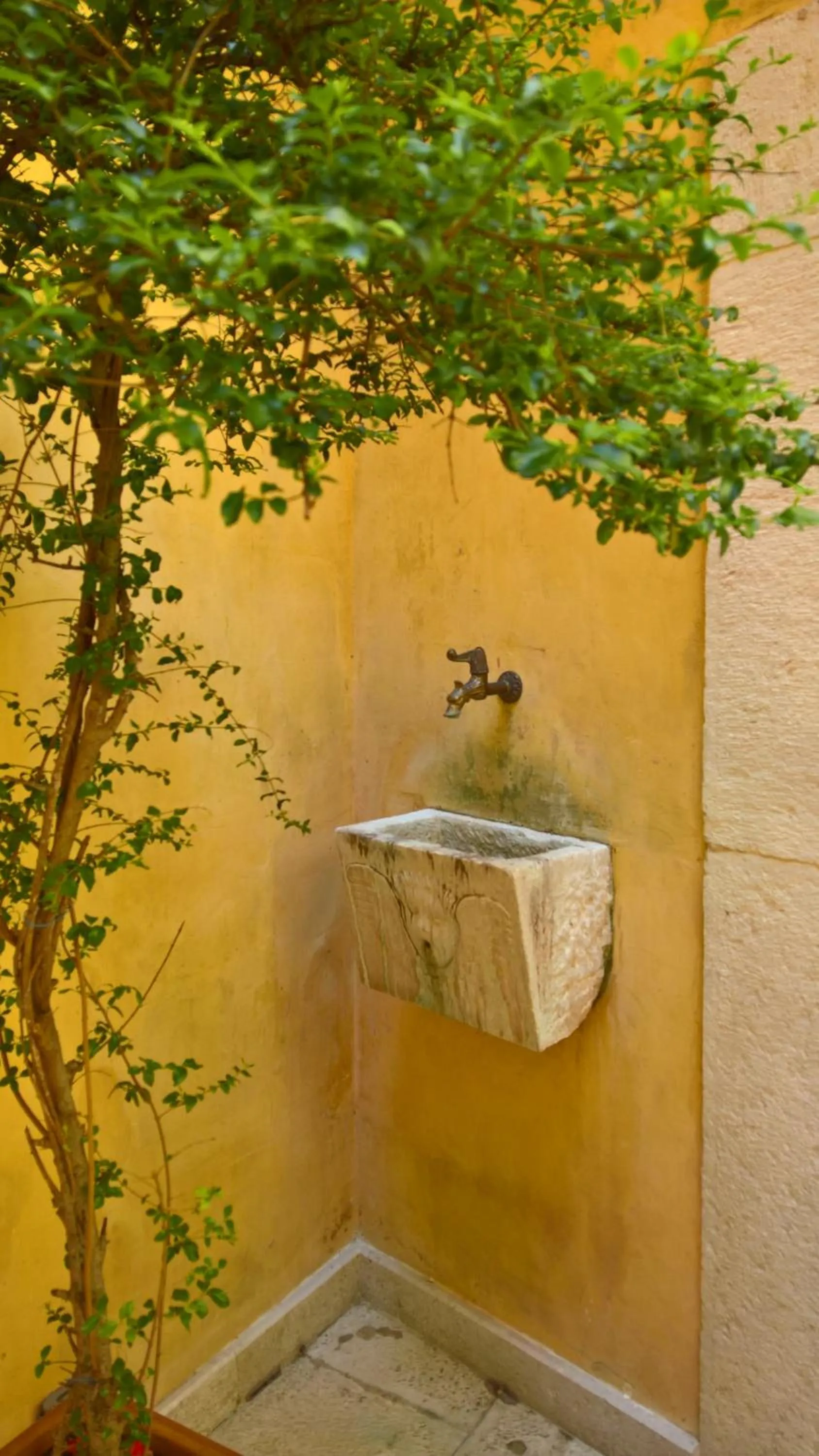 Garden in Antichi Feudi Dimora D'Epoca