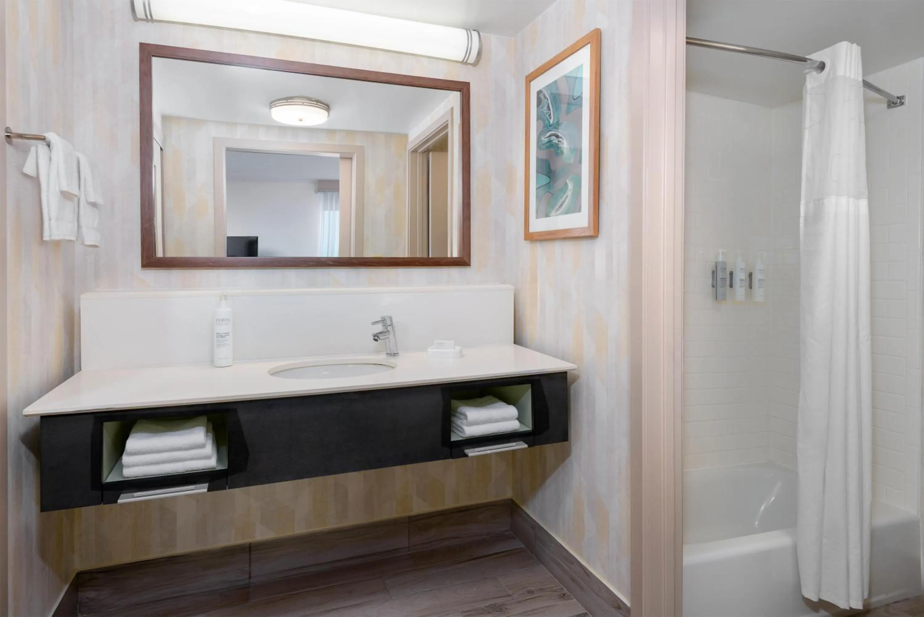 Bathroom in Hampton Inn & Suites Tampa Airport Avion Park Westshore