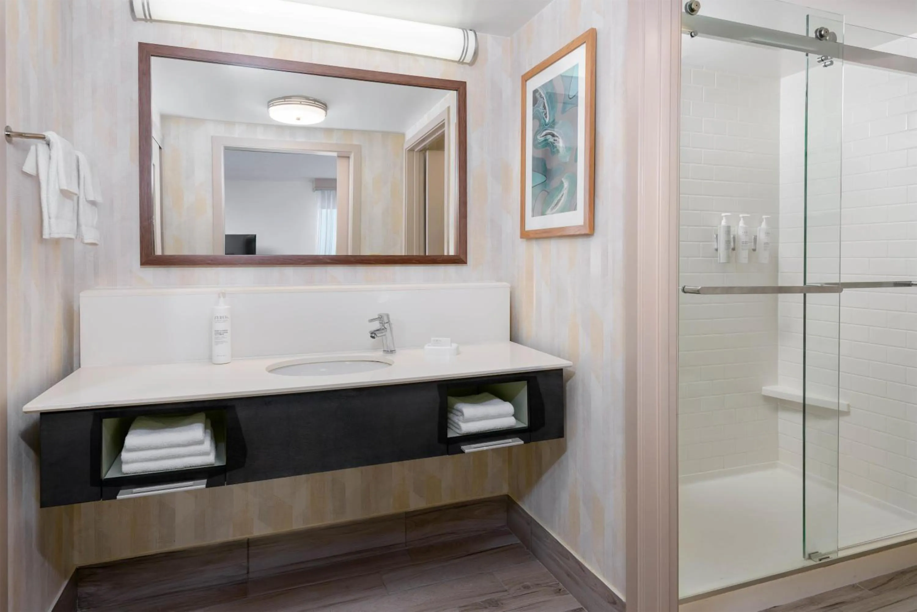 Bathroom in Hampton Inn & Suites Tampa Airport Avion Park Westshore