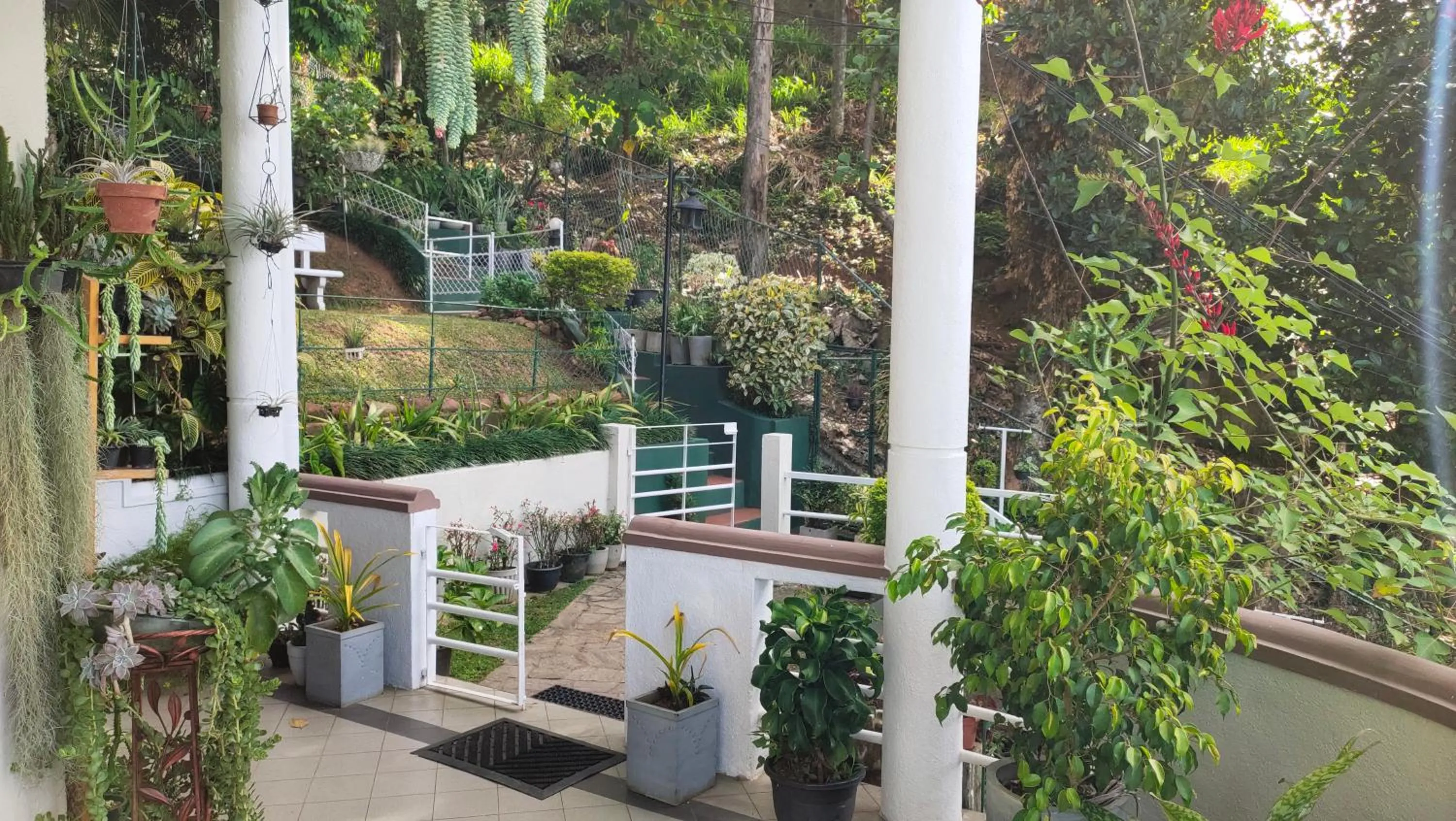 Garden view in Marvel Hills Kandy