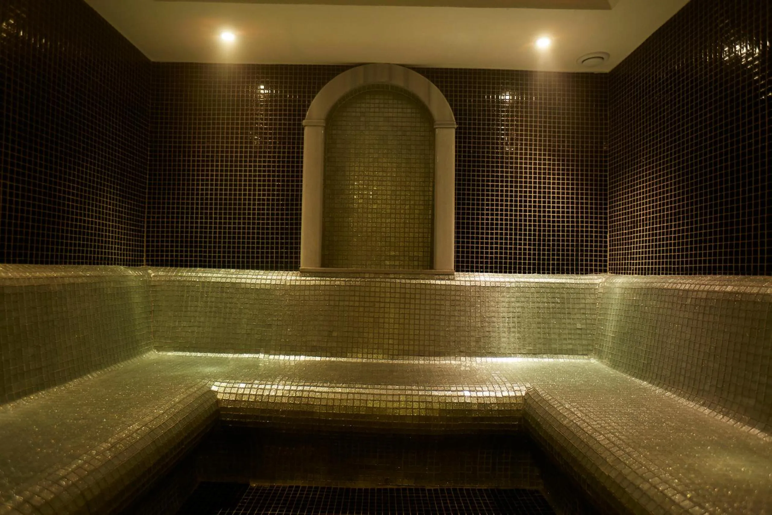 Sauna in Ilkbal Deluxe Hotel &Spa Istanbul