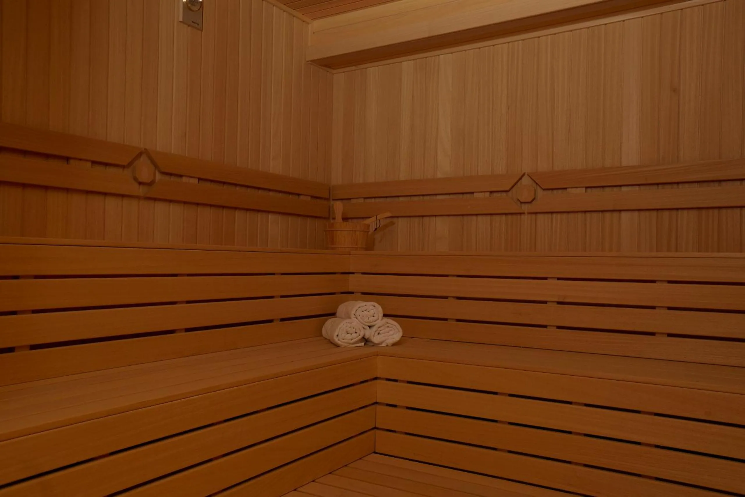 Sauna in Ilkbal Deluxe Hotel &Spa Istanbul