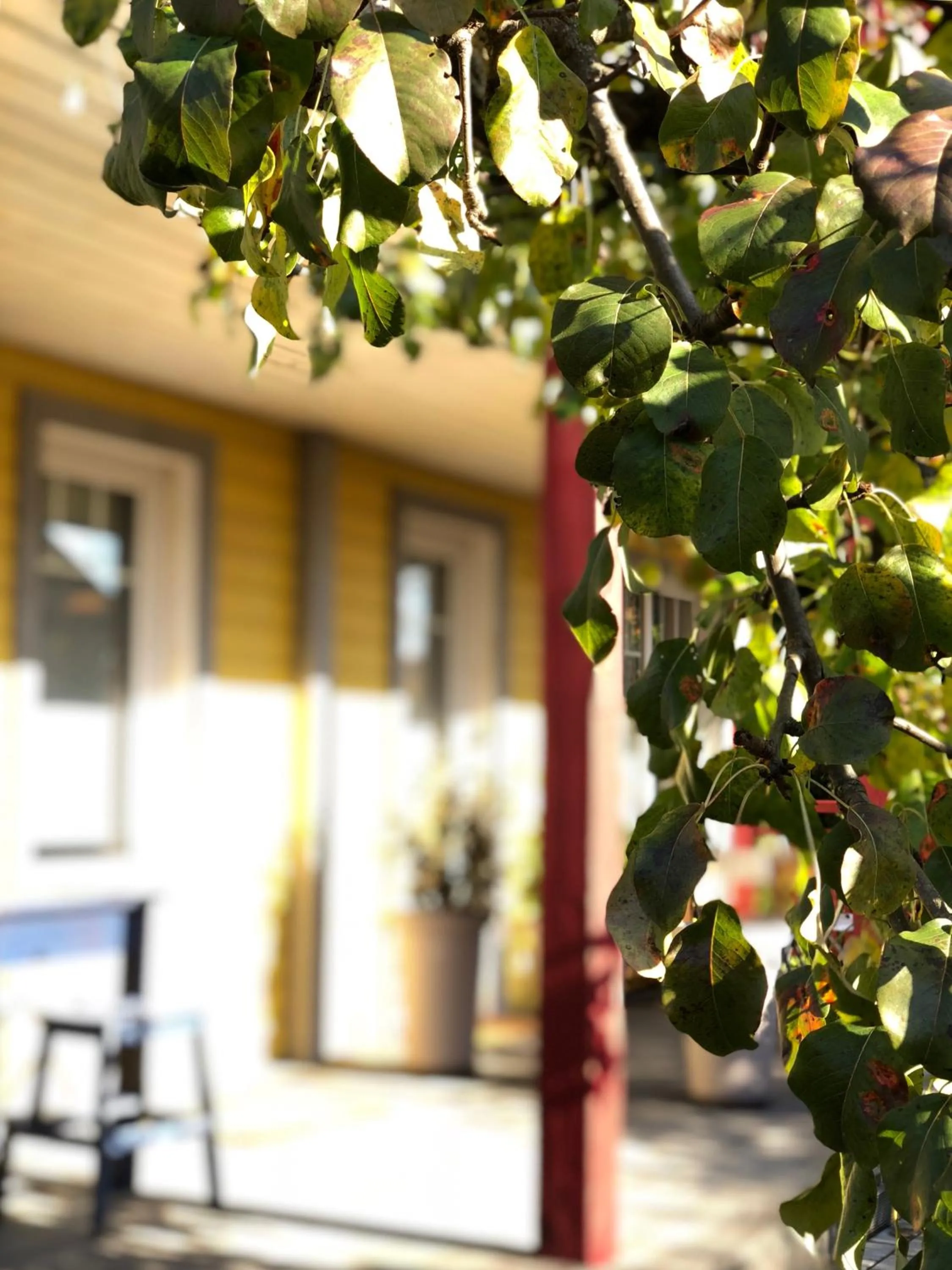 Facade/entrance in Guest House Mr Fox