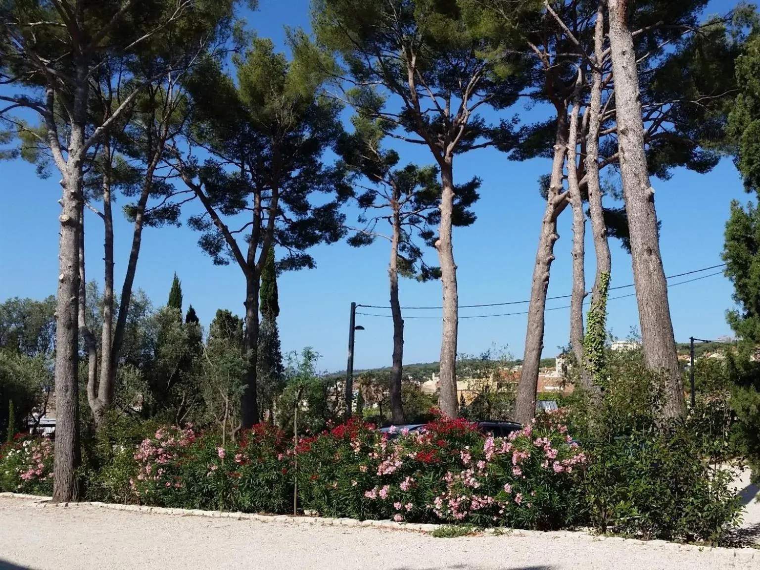 Property building in HPC Suites - Parking Gratuit & Piscine Chauffée en saison