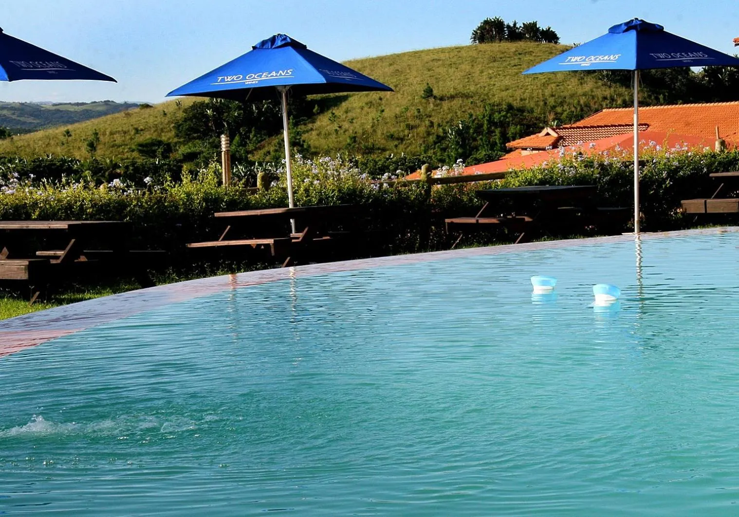 Swimming pool in The Edwardian