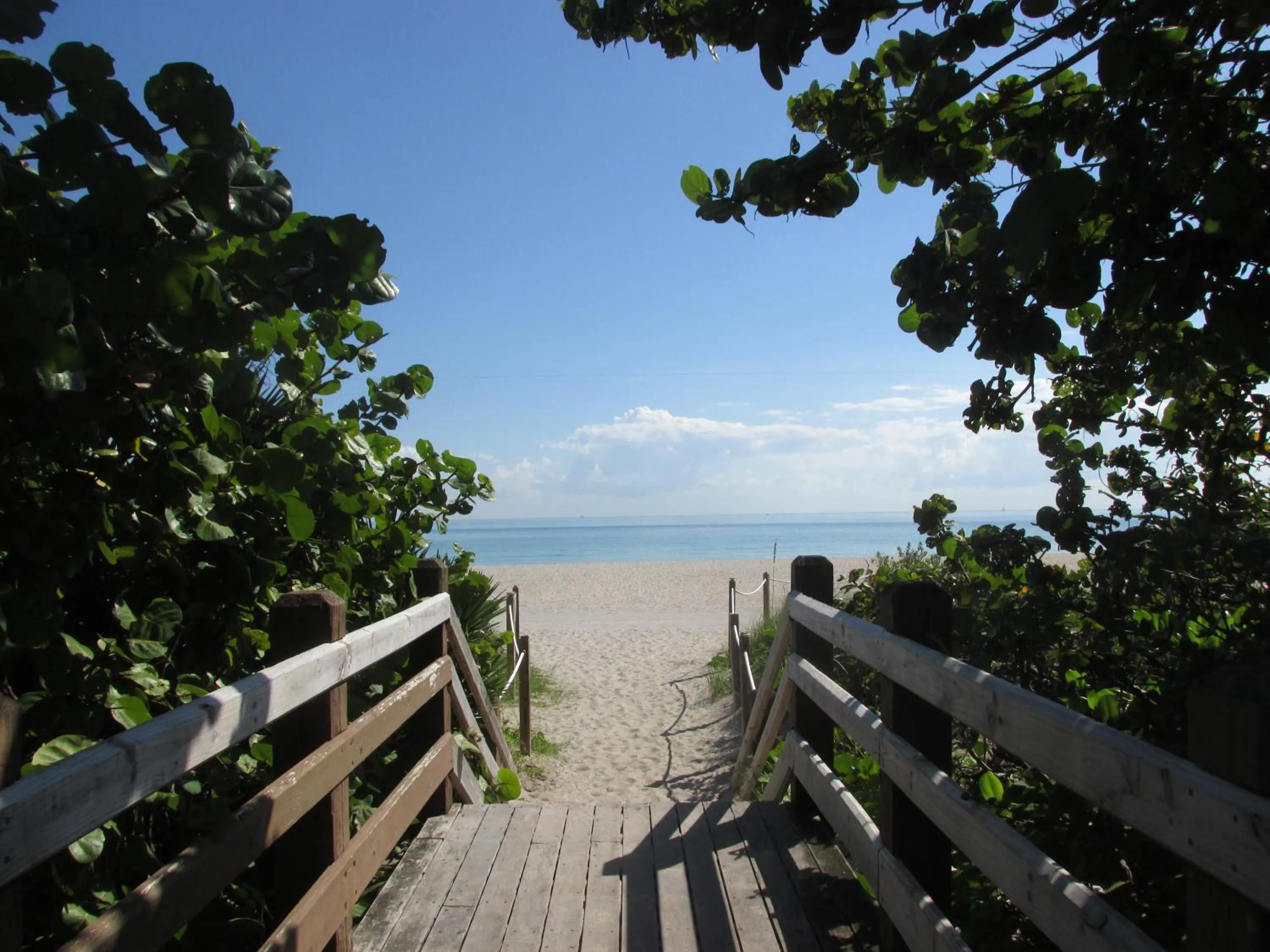 Beach in Ocean Breeze