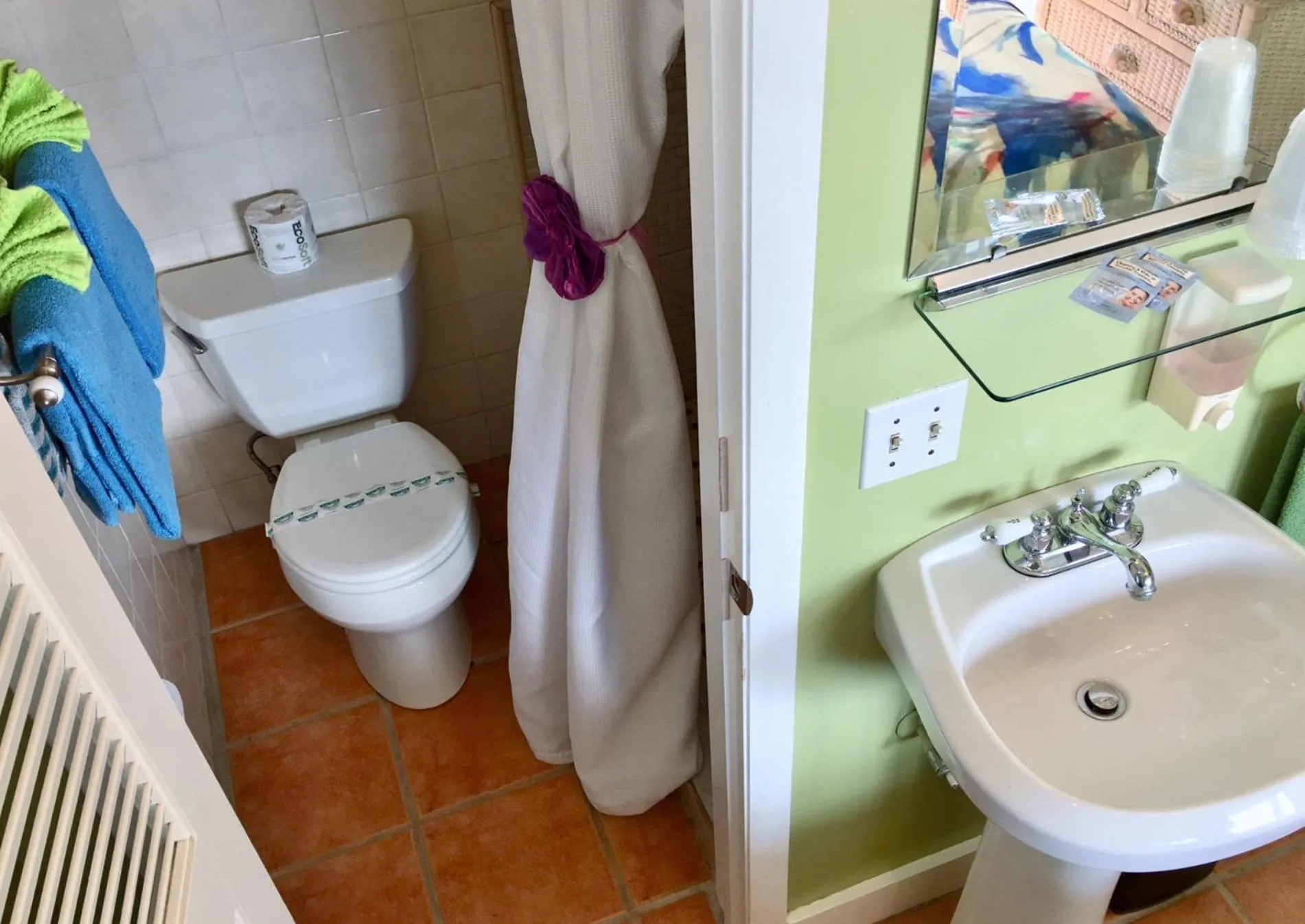 Toilet in Caribbean House