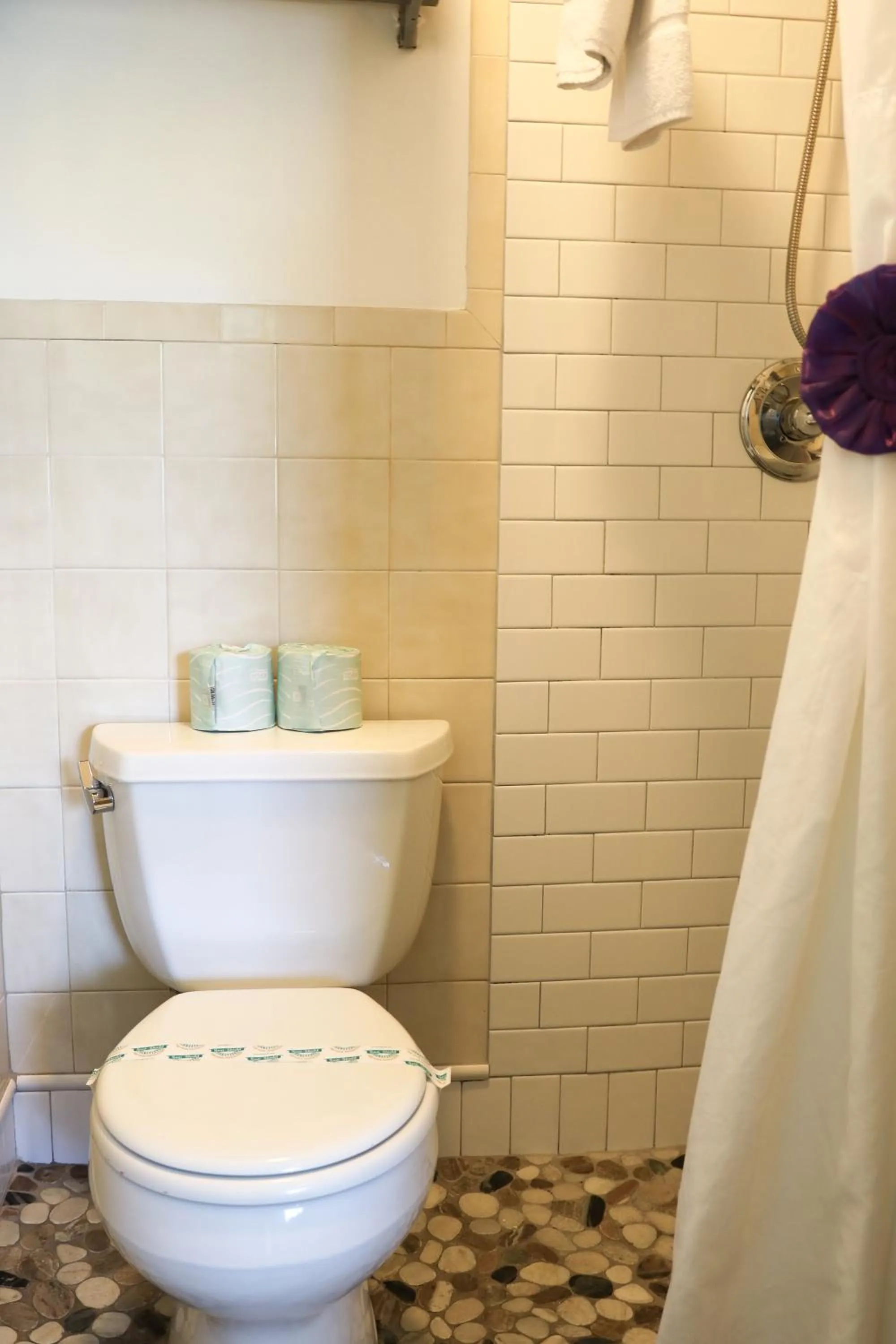 Bathroom in Caribbean House