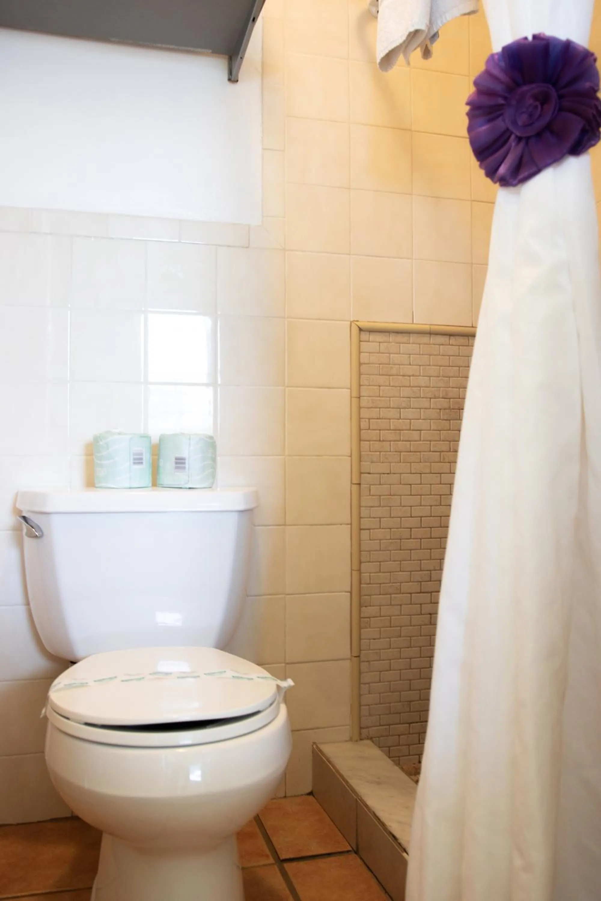 Toilet in Caribbean House